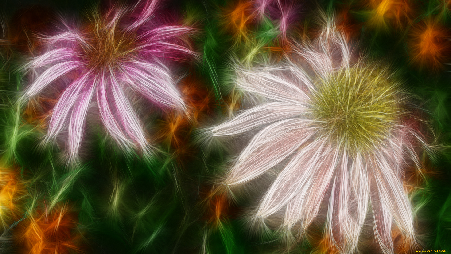 3д, графика, flowers, цветы, лепестки