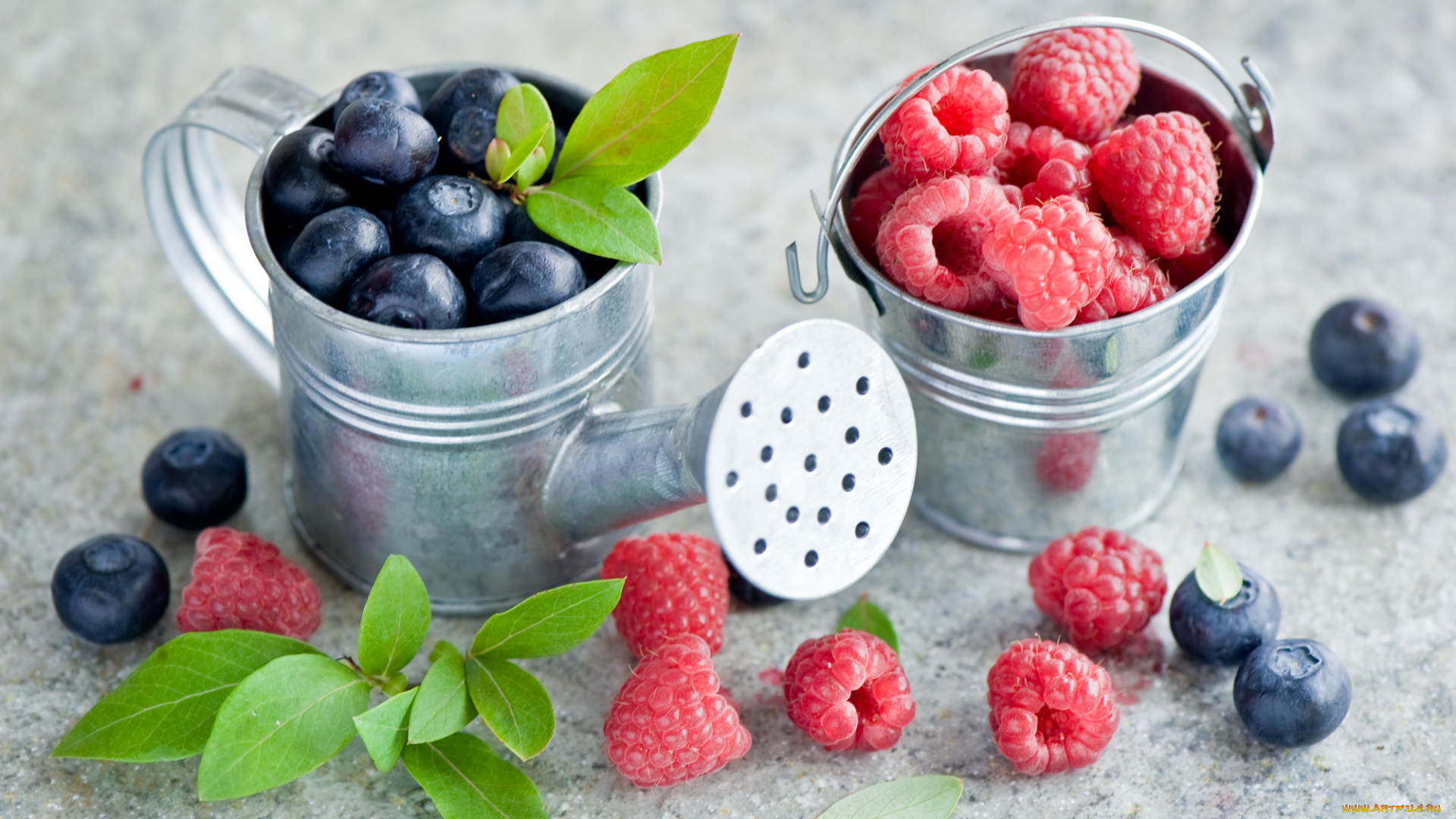 еда, фрукты, ягоды, малина, голубика, лейка, ведёрко