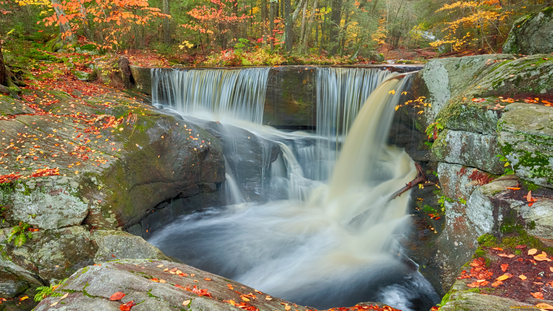 enders, falls, granby, connecticut, природа, водопады, листья, поток, гранби, коннектикут, лес, осень, камни
