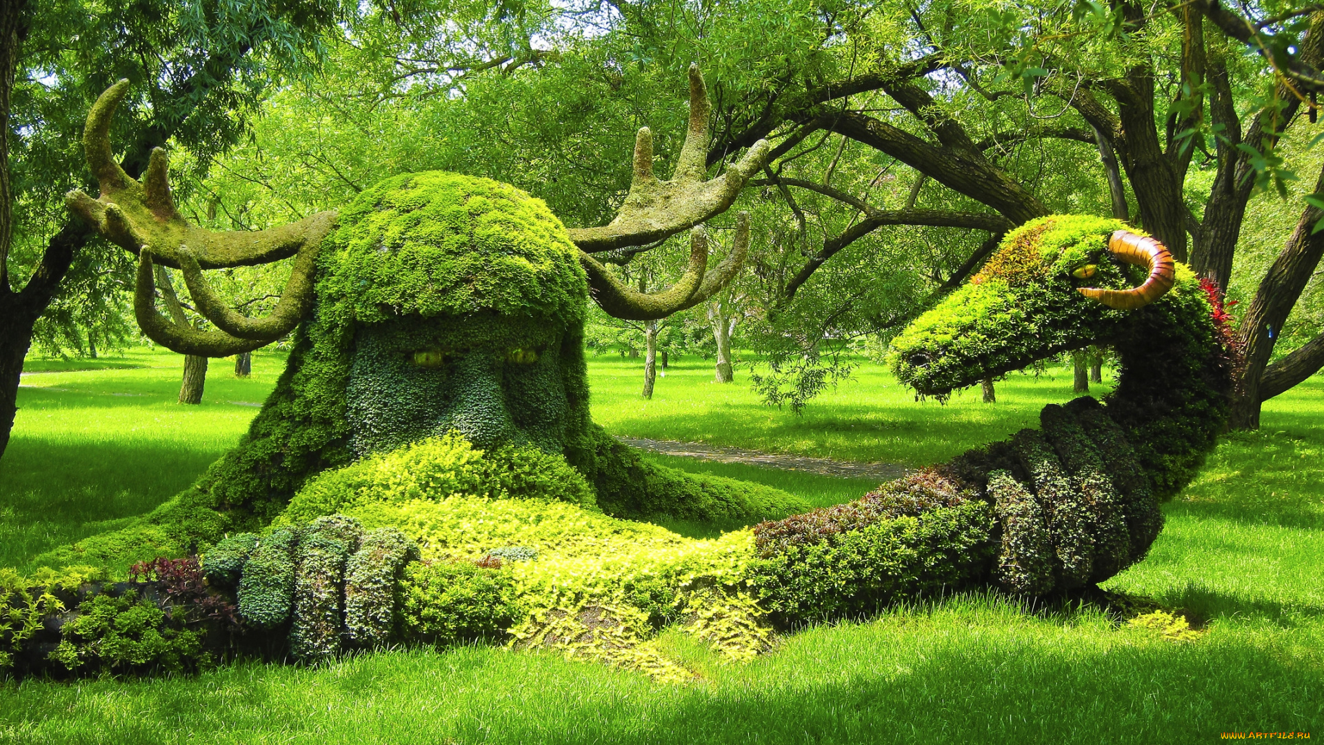 montreal, botanical, garden, canada, природа, парк, монреаль, монреальский, ботанический, сад, композиция, канада