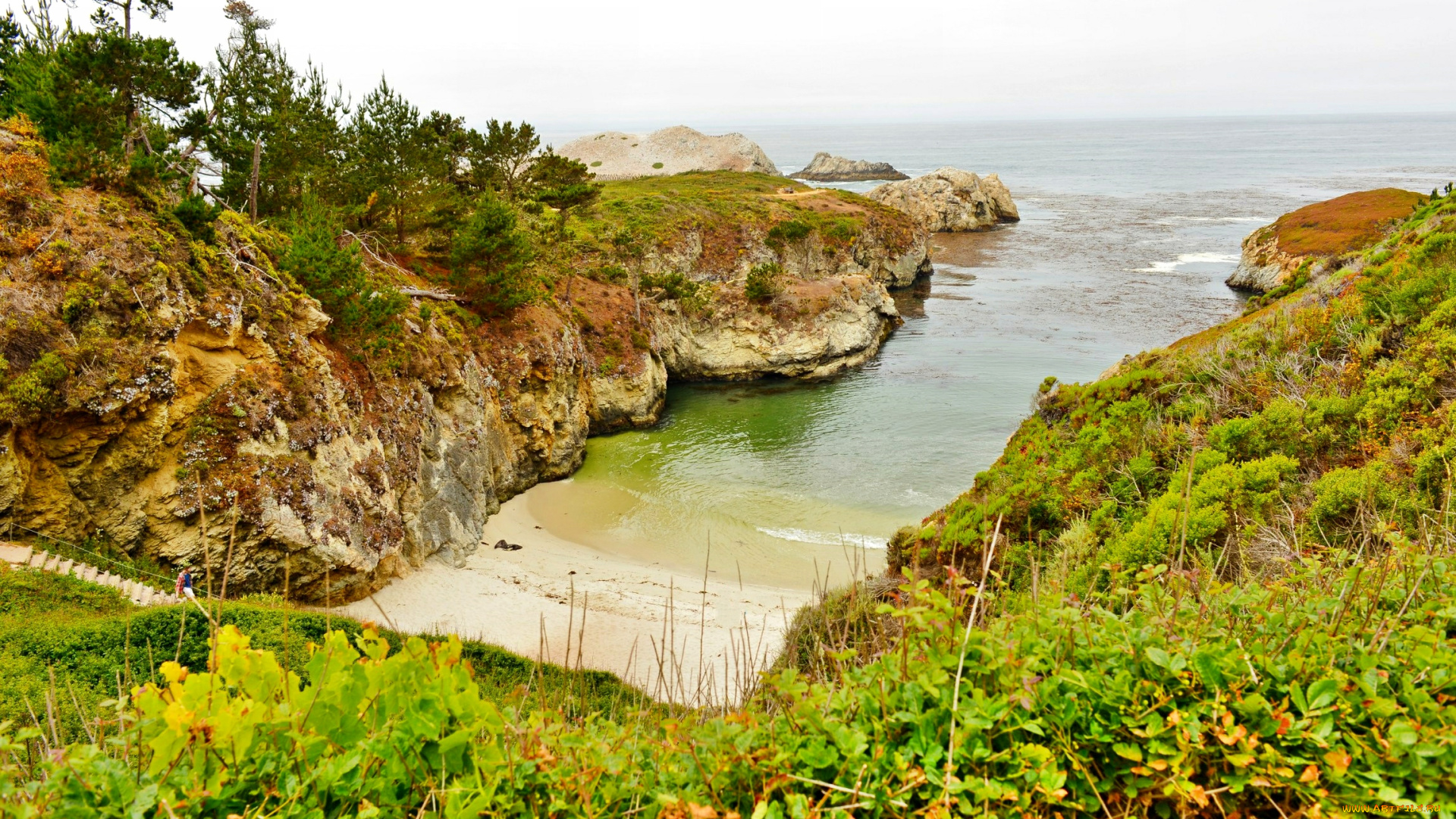 природа, побережье, бухта, море, деревья, трава, камни, скалы, пляж