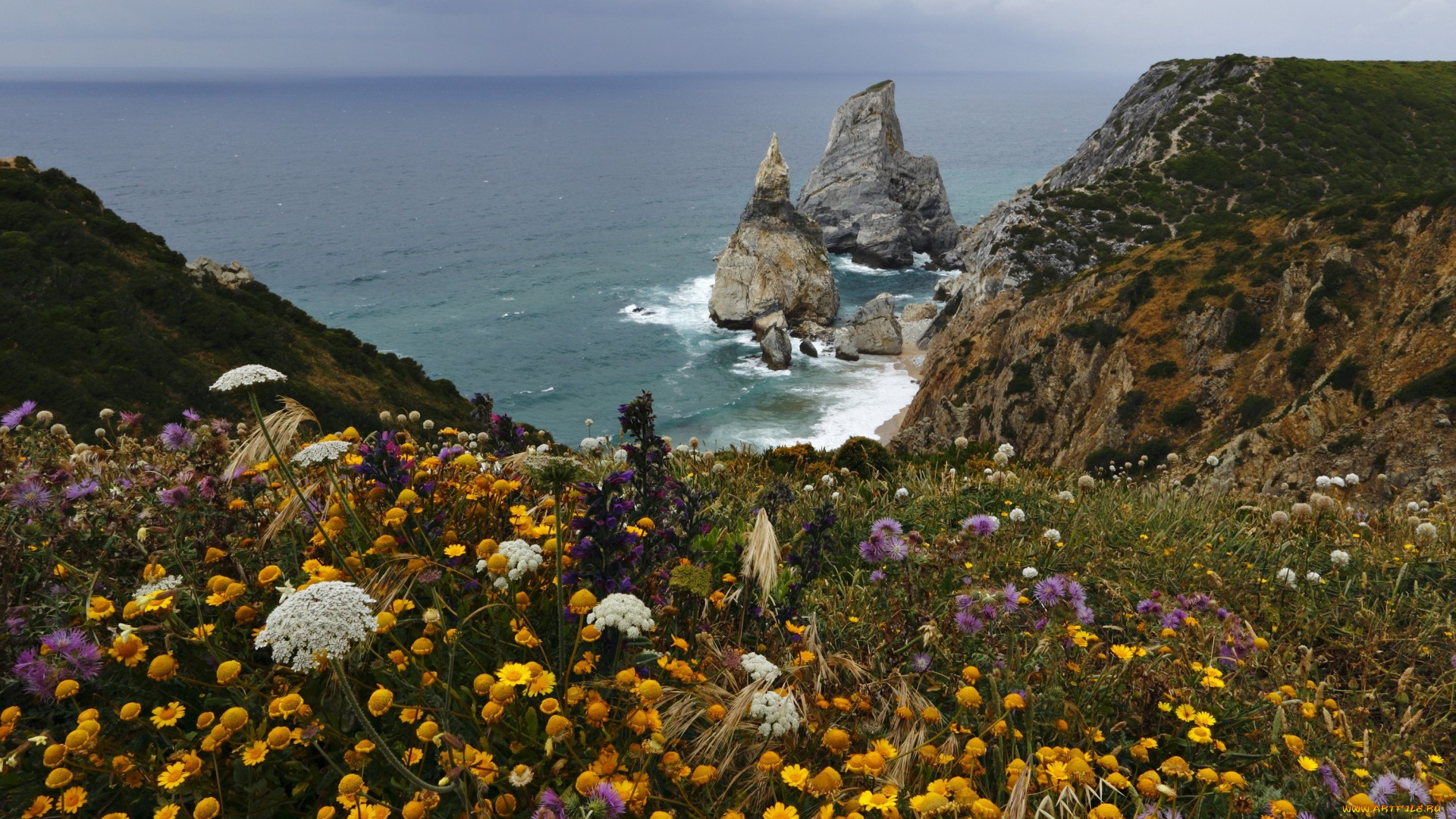 природа, побережье, океан, бухта, скалы, луг, цветы