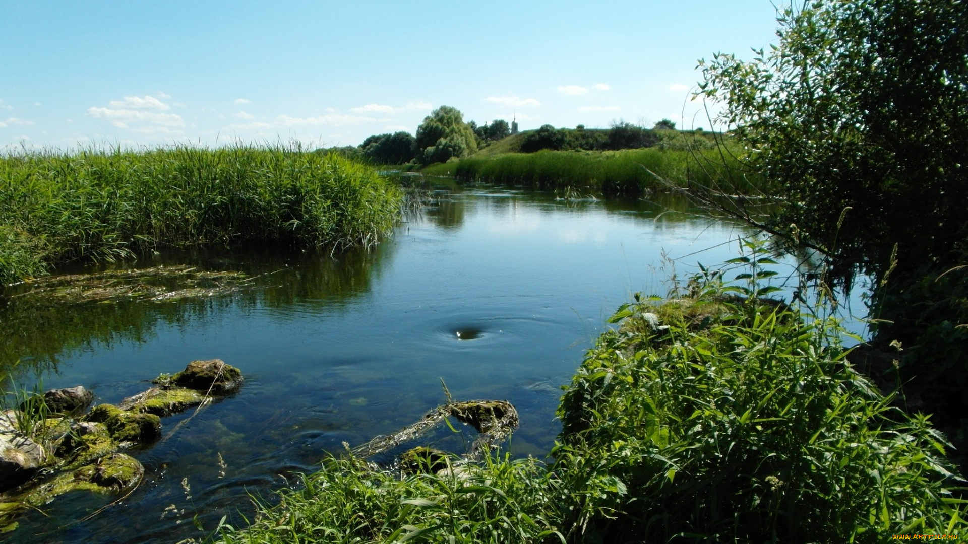 природа, реки, озера, река, берега, трава, водоворот