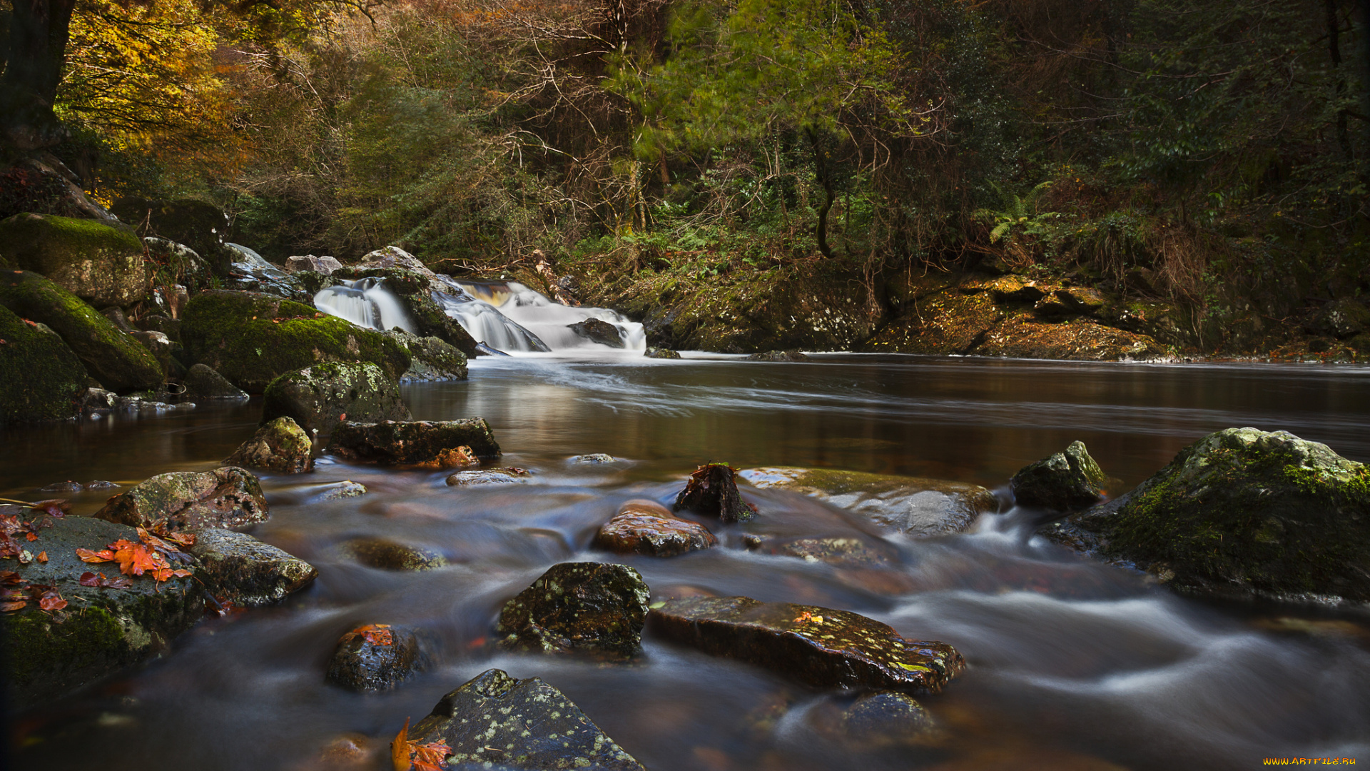 river, erme, devon, england, природа, реки, озера, осень, англия, девон, лес, камни, река