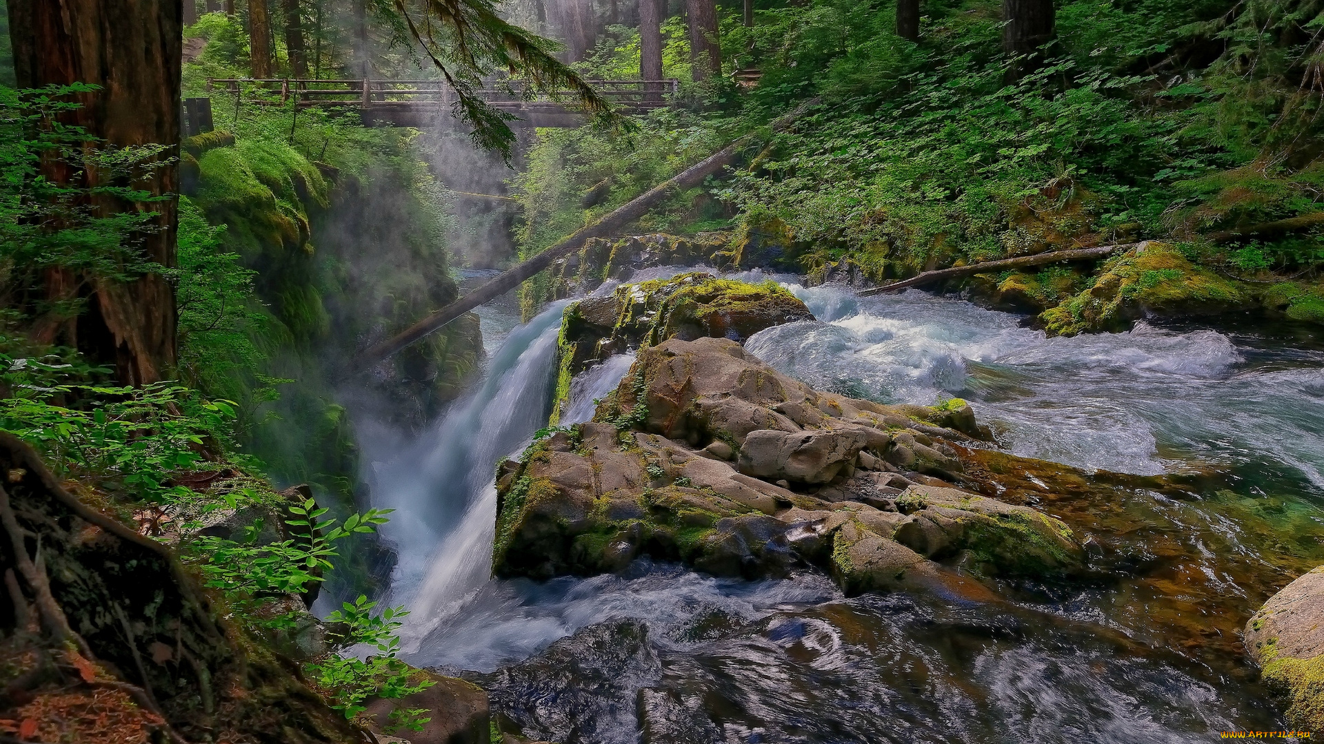 sol, duc, falls, olympic, national, park, washington, природа, водопады, лес, мост, река