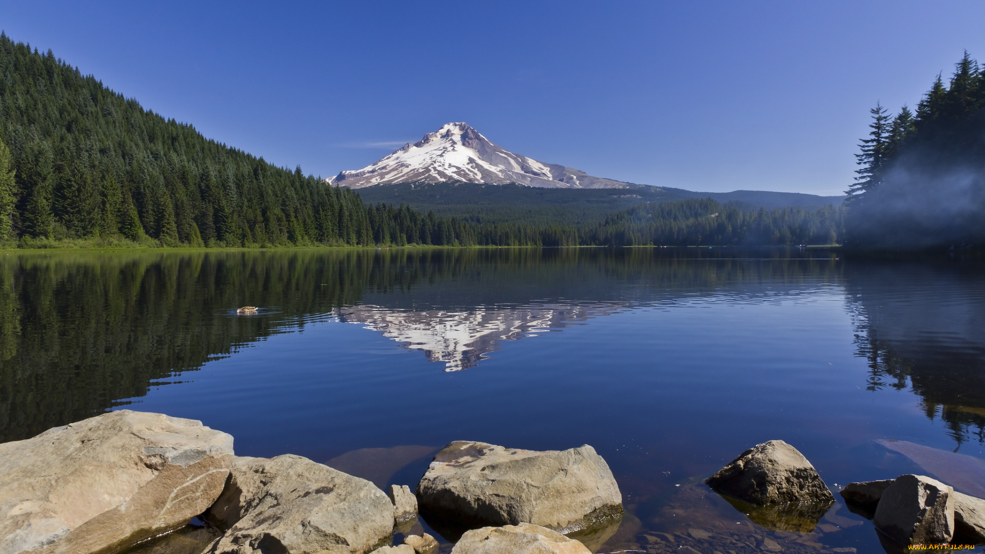 trillium, lake, oregon, природа, реки, озера, mount, hood, озеро, триллиум, орегон, гора, маунт-худ, отражение, камни, лес, пейзаж