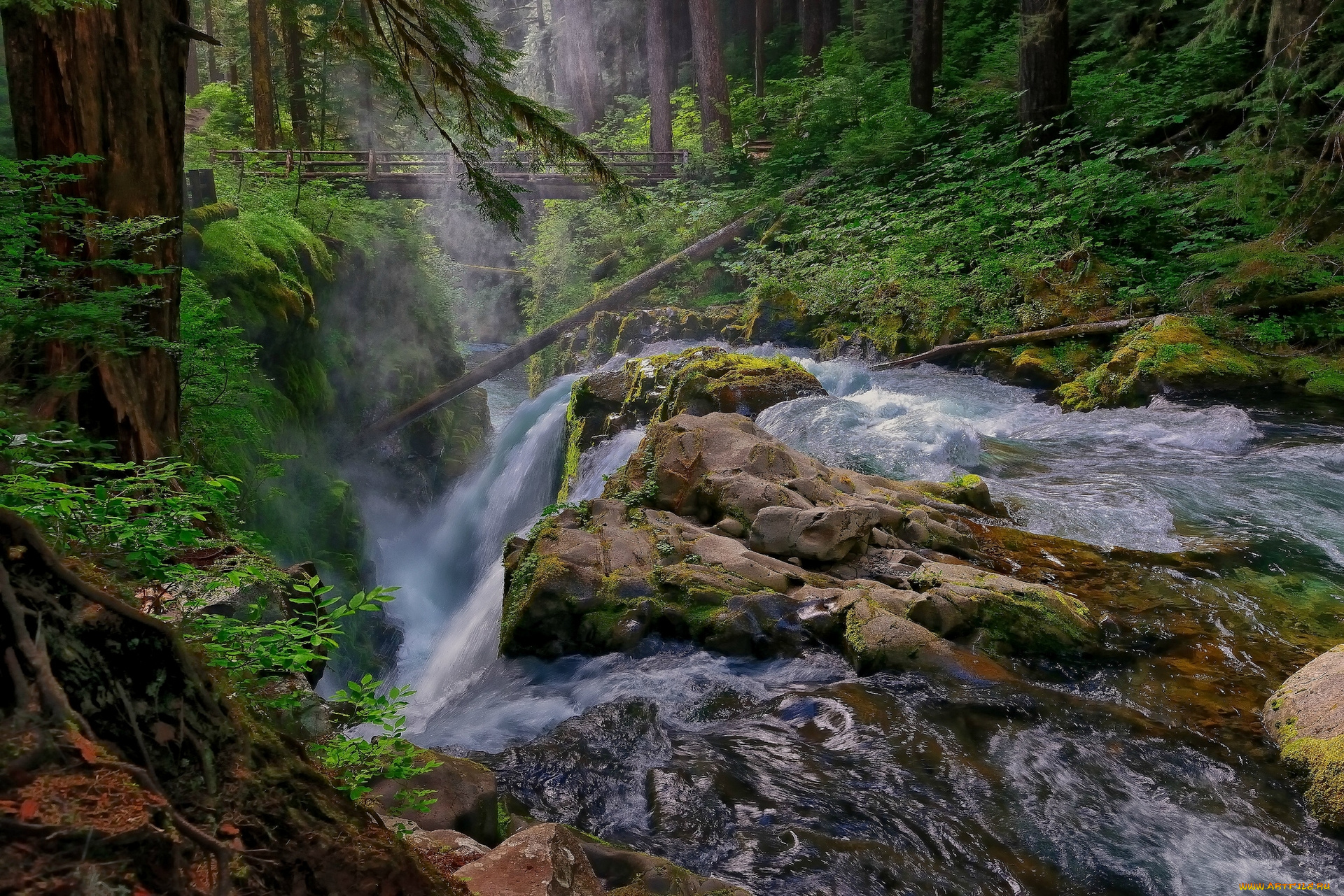 sol, duc, falls, olympic, national, park, washington, природа, водопады, лес, мост, река