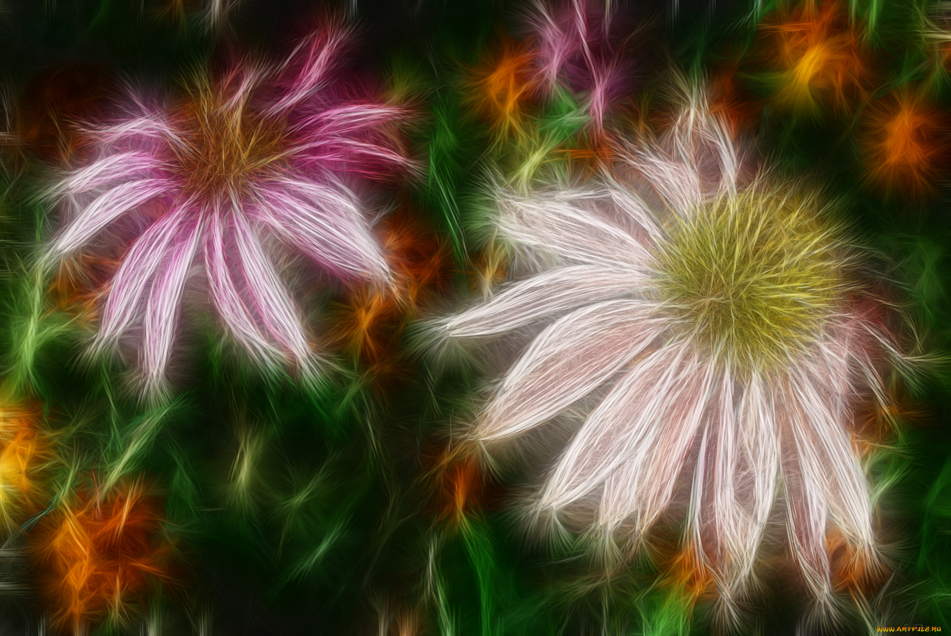 3д, графика, flowers, цветы, лепестки