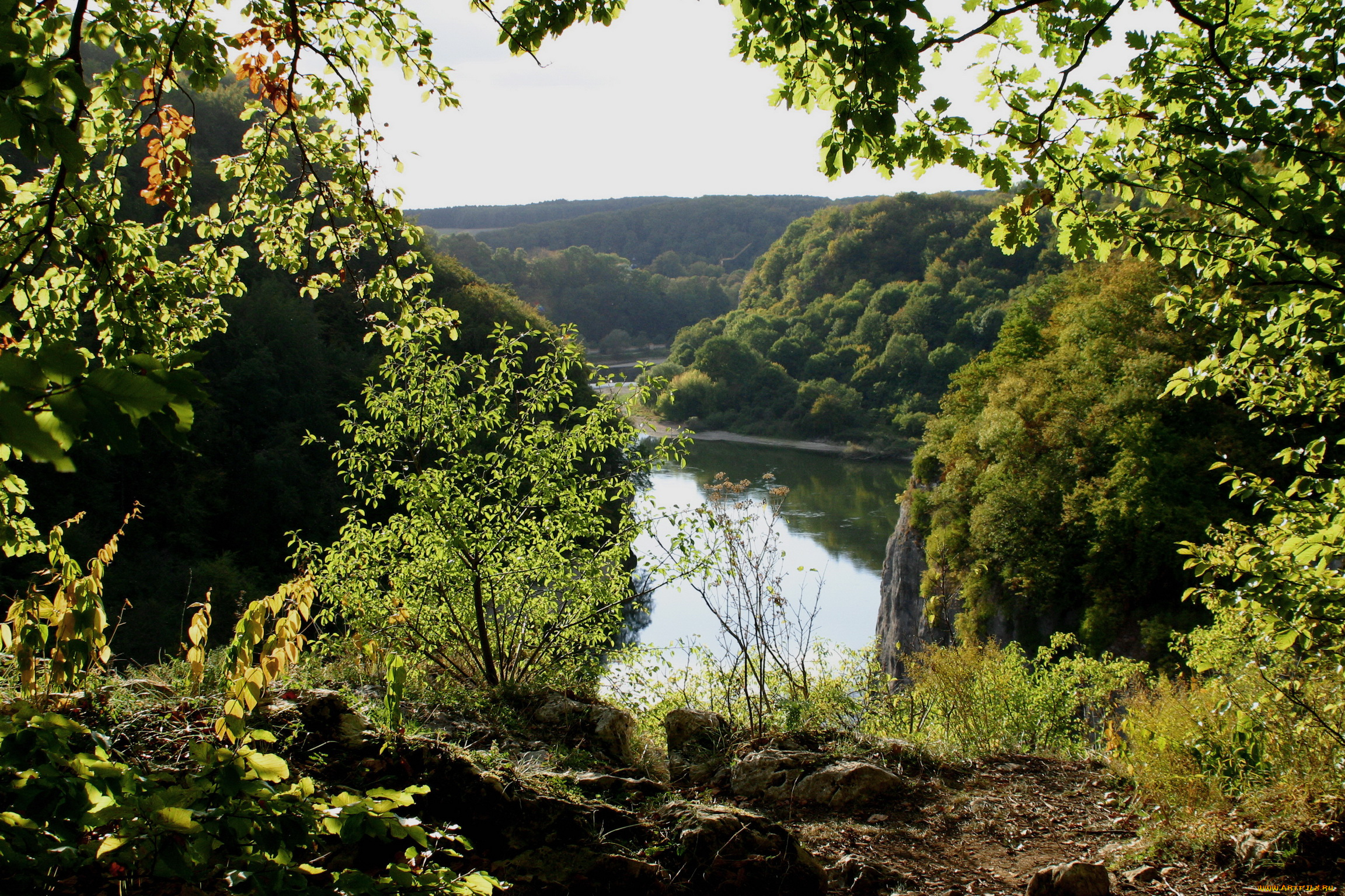 германия, бавария, природа, реки, озера, река, берег, деревья