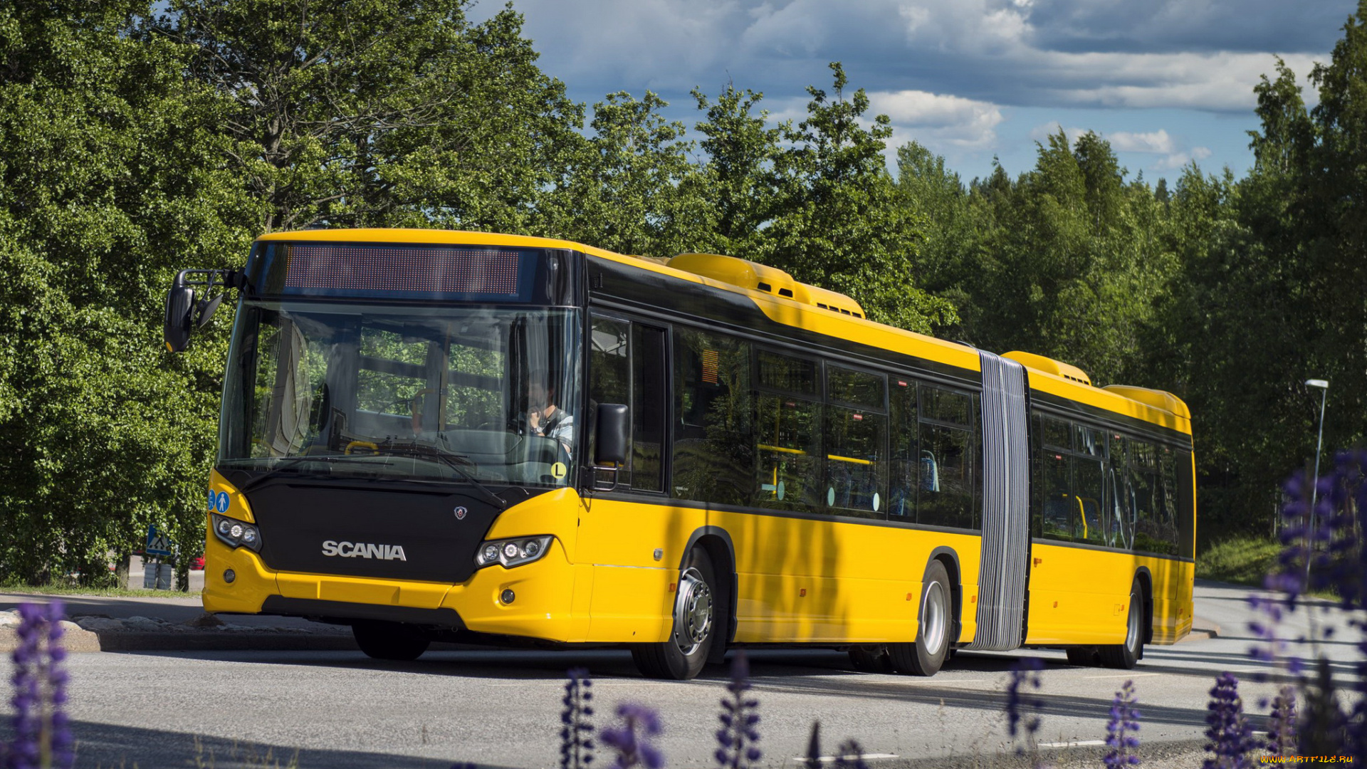 автомобили, автобусы, lfa, citywide, scania