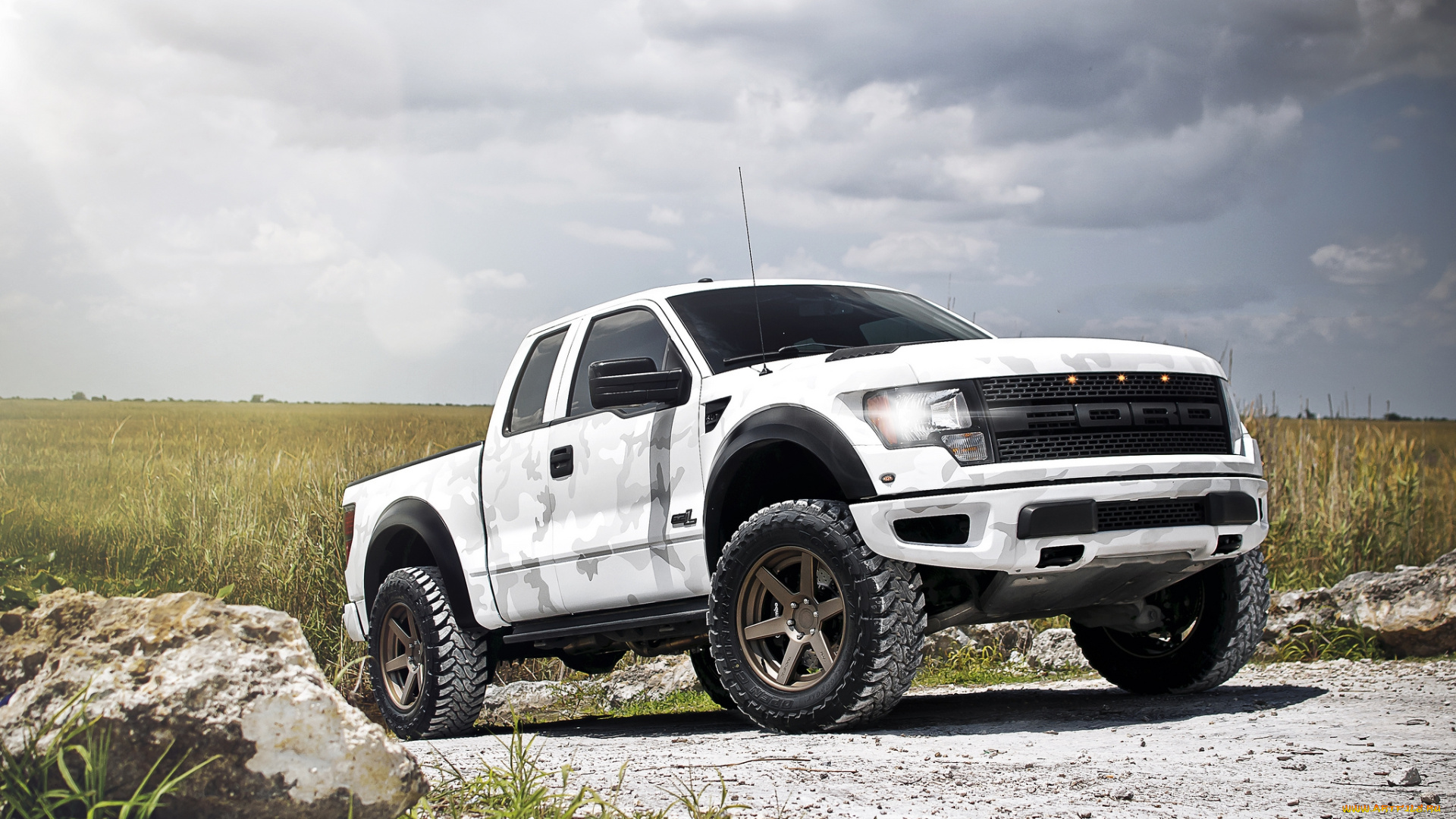 ford, f-150, raptor, автомобили, ford, поле, внедорожник