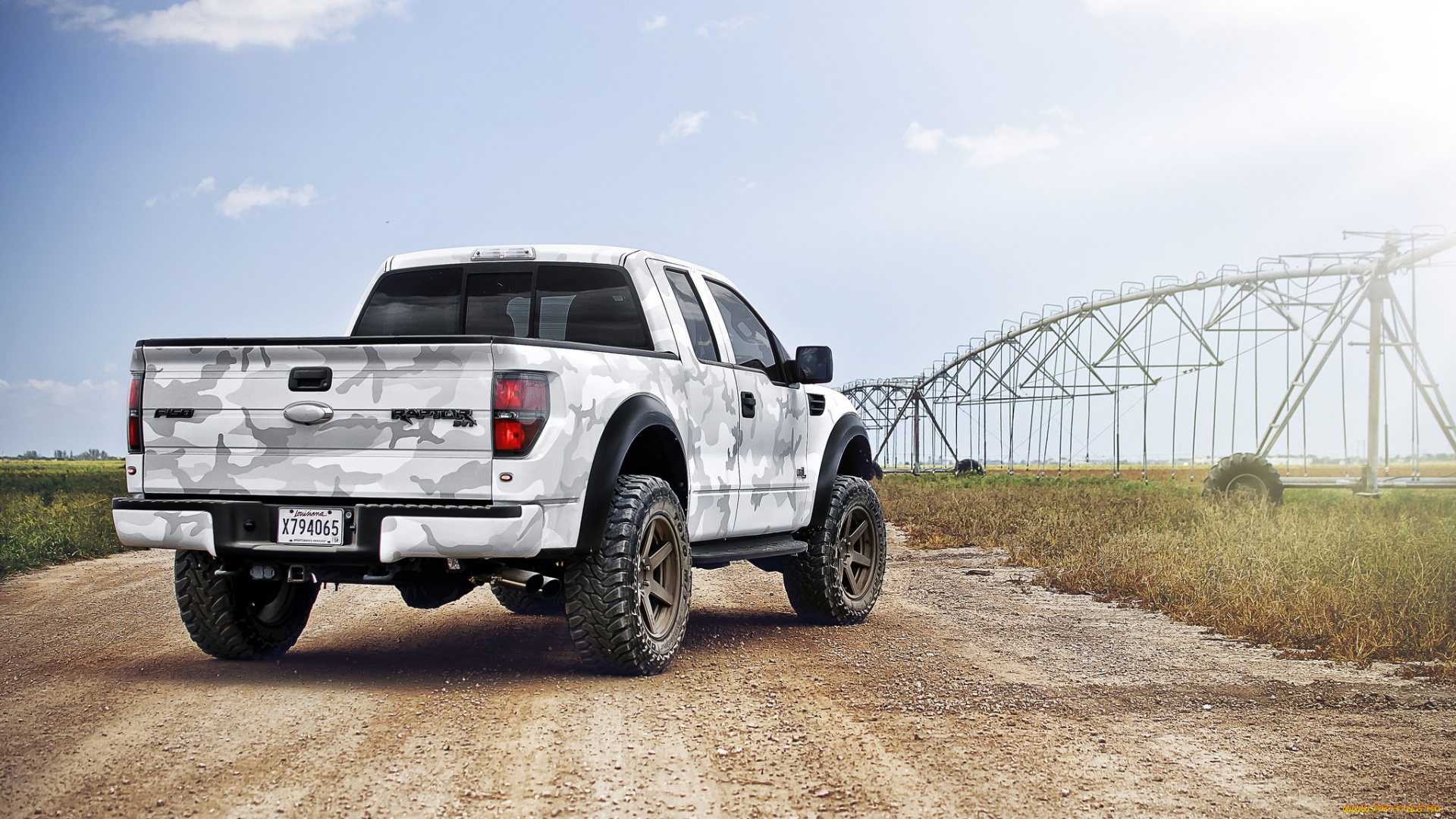 ford, f-150, raptor, автомобили, ford, поле, внедорожник