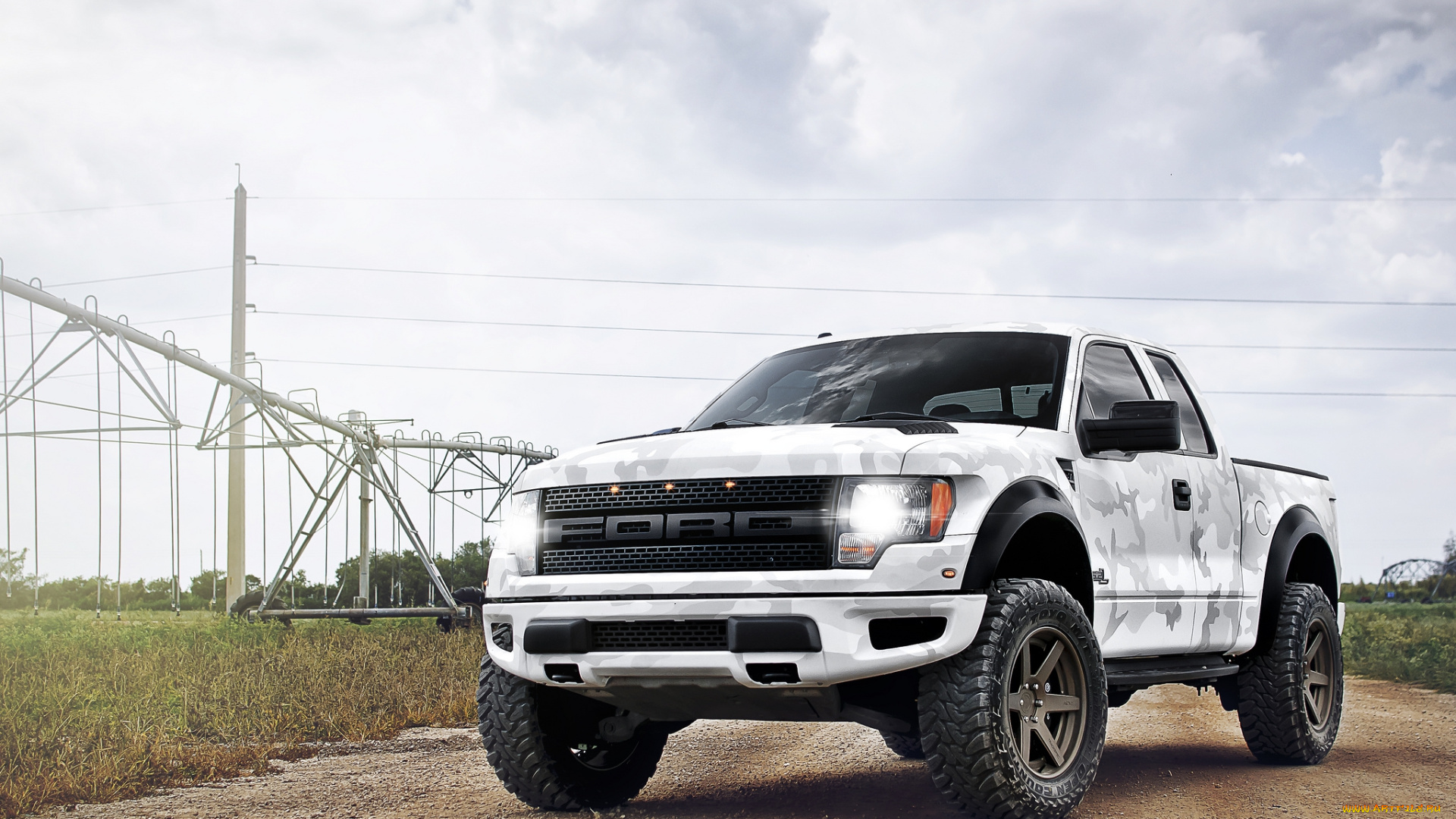 ford, f-150, raptor, автомобили, ford, внедорожник, поле