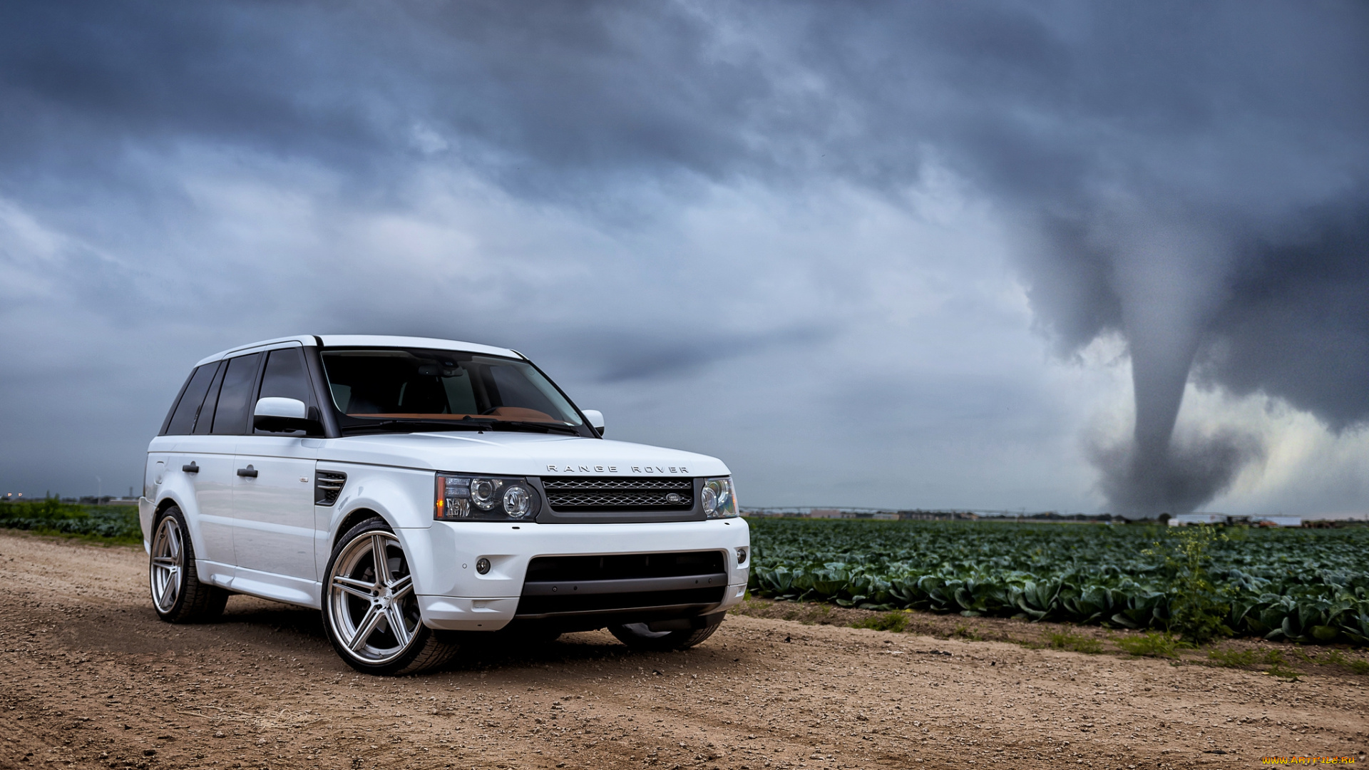 new, range, 4, автомобили, range, rover, внедорожник, поле