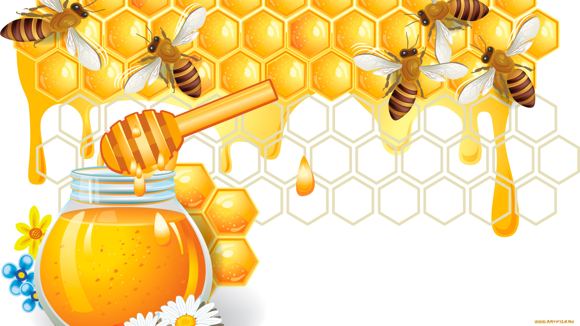 векторная, графика, еда, пчелы, мед