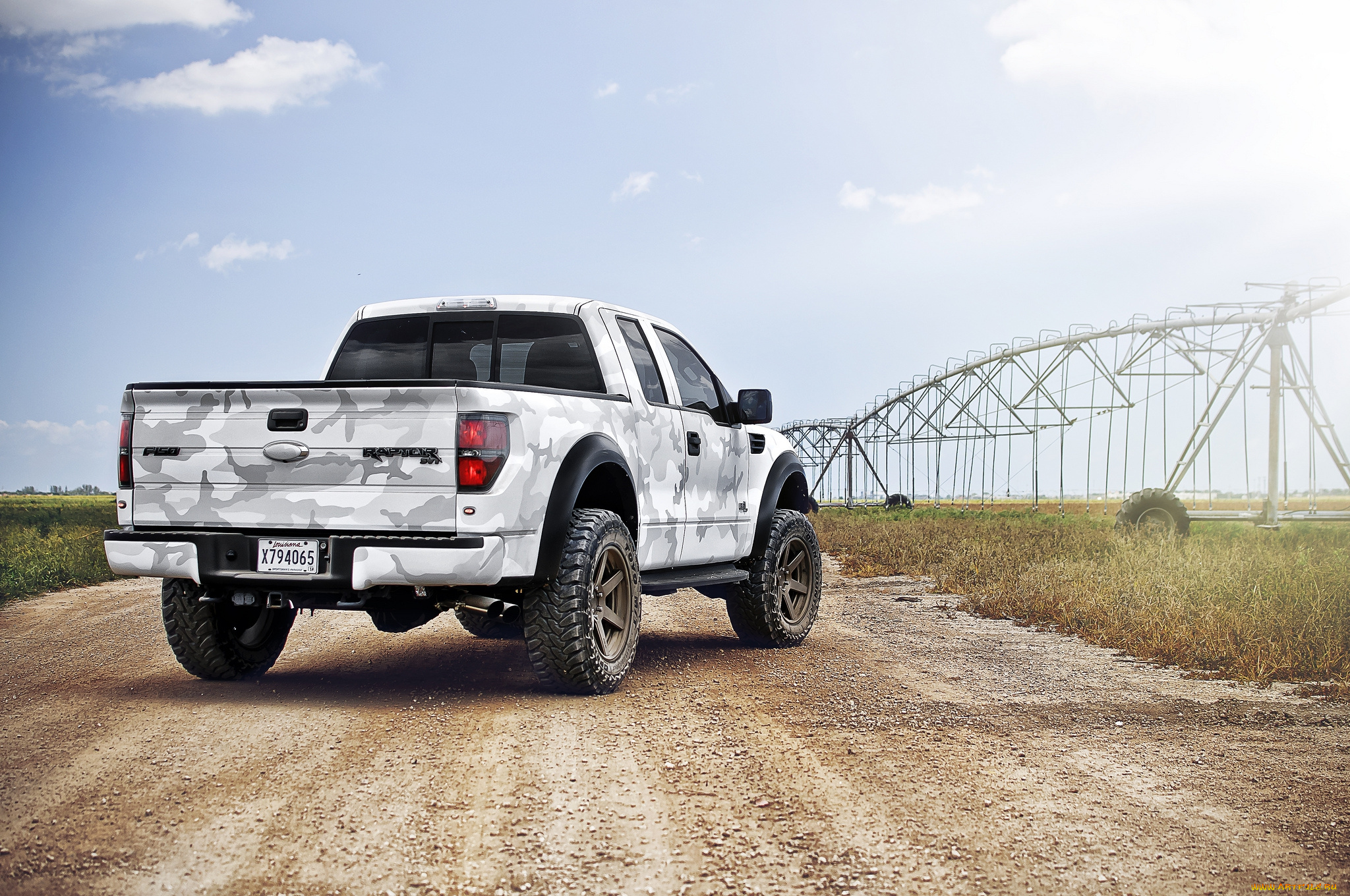 ford, f-150, raptor, автомобили, ford, поле, внедорожник