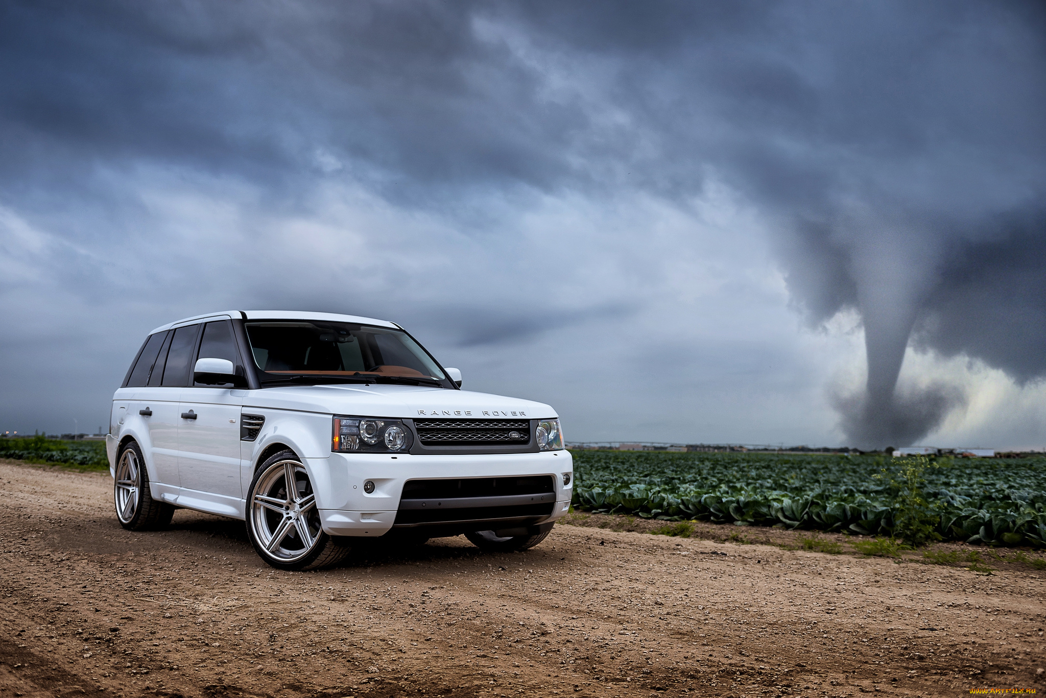 new, range, 4, автомобили, range, rover, внедорожник, поле