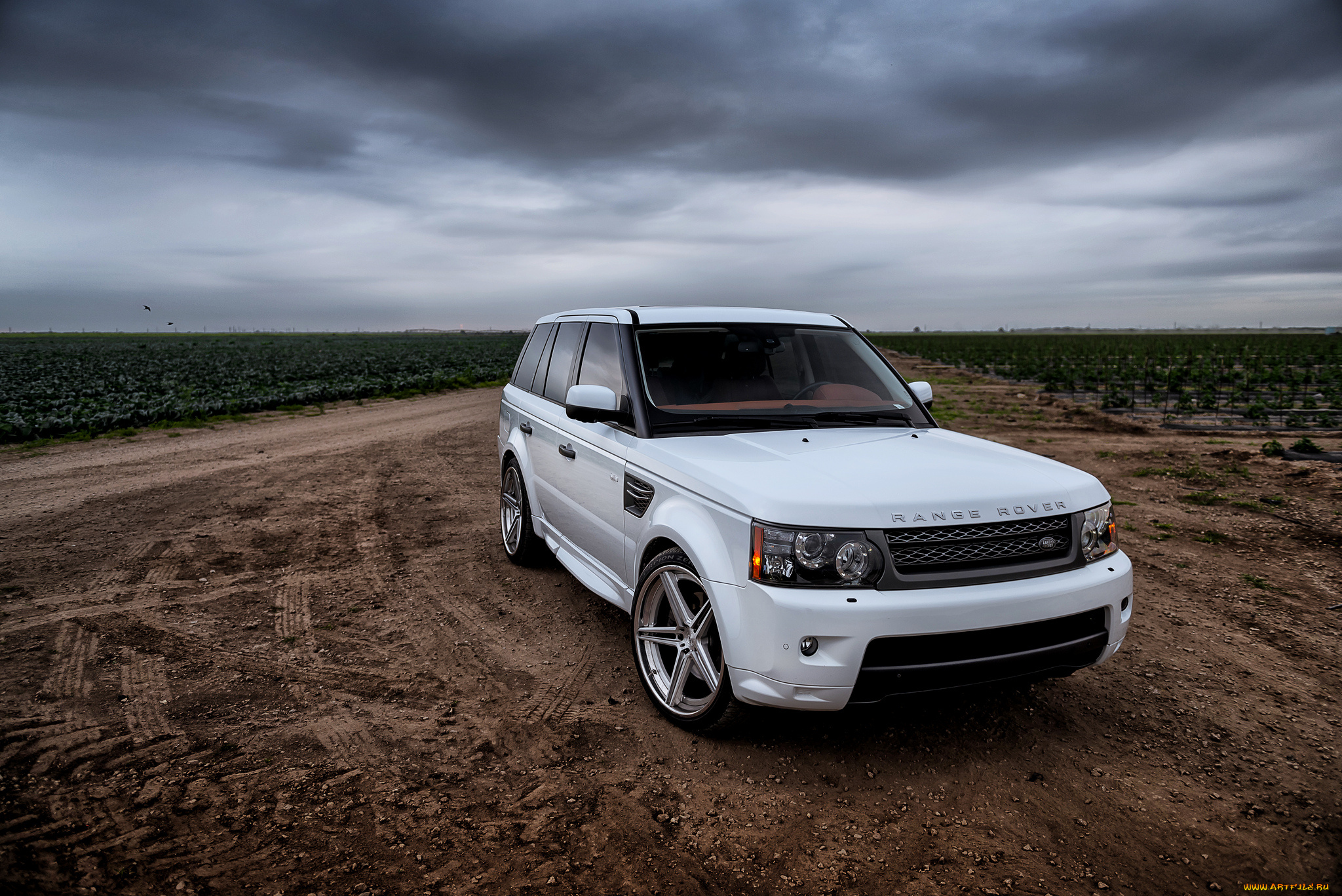 new, range, 4, автомобили, range, rover, внедорожник, поле