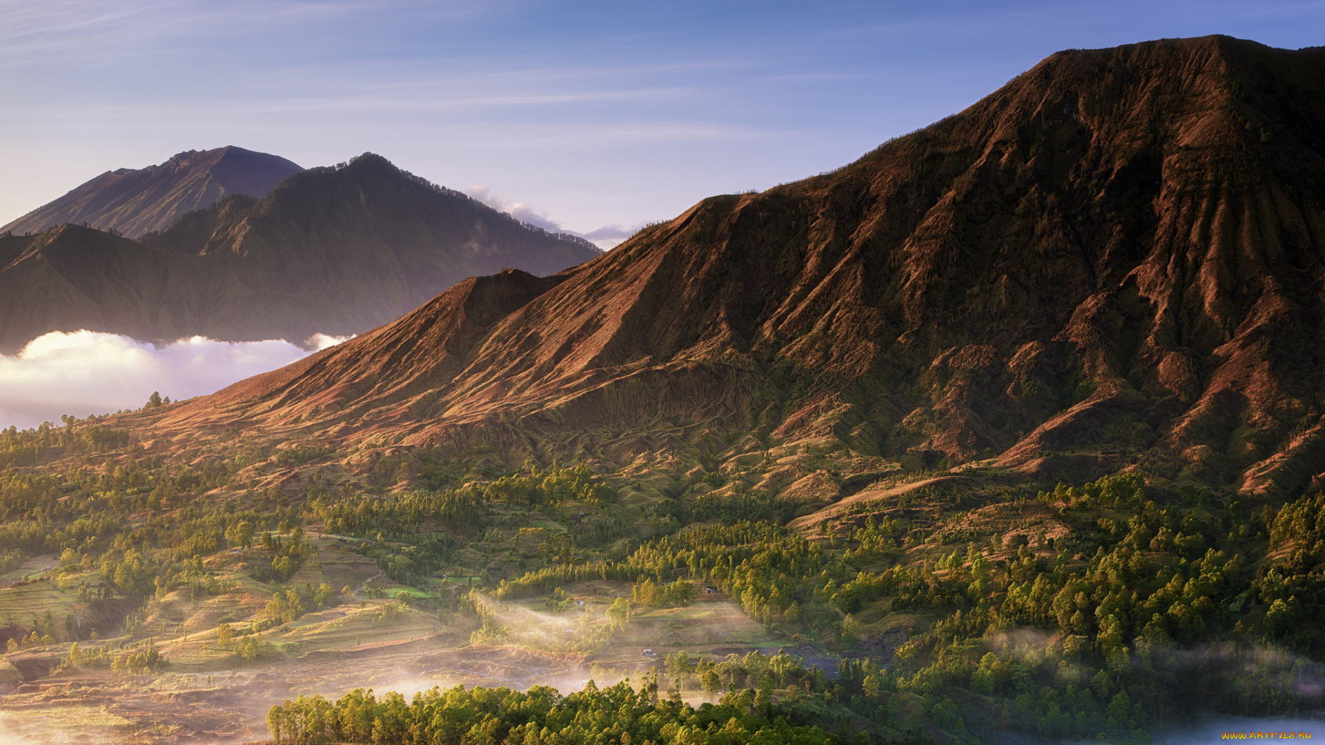 природа, горы, скалы, туман, лес