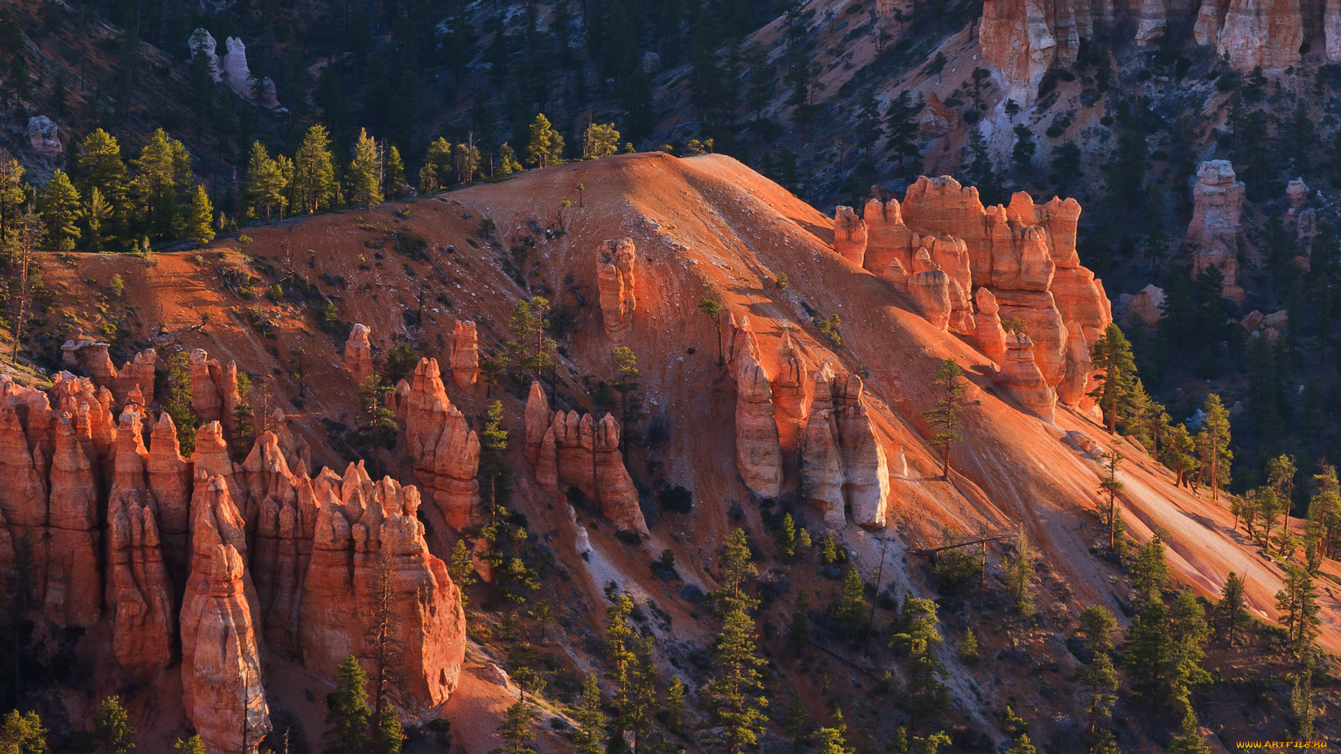 природа, горы, сша, юта, bryce, canyon, national, park, скалы, деревья, склон
