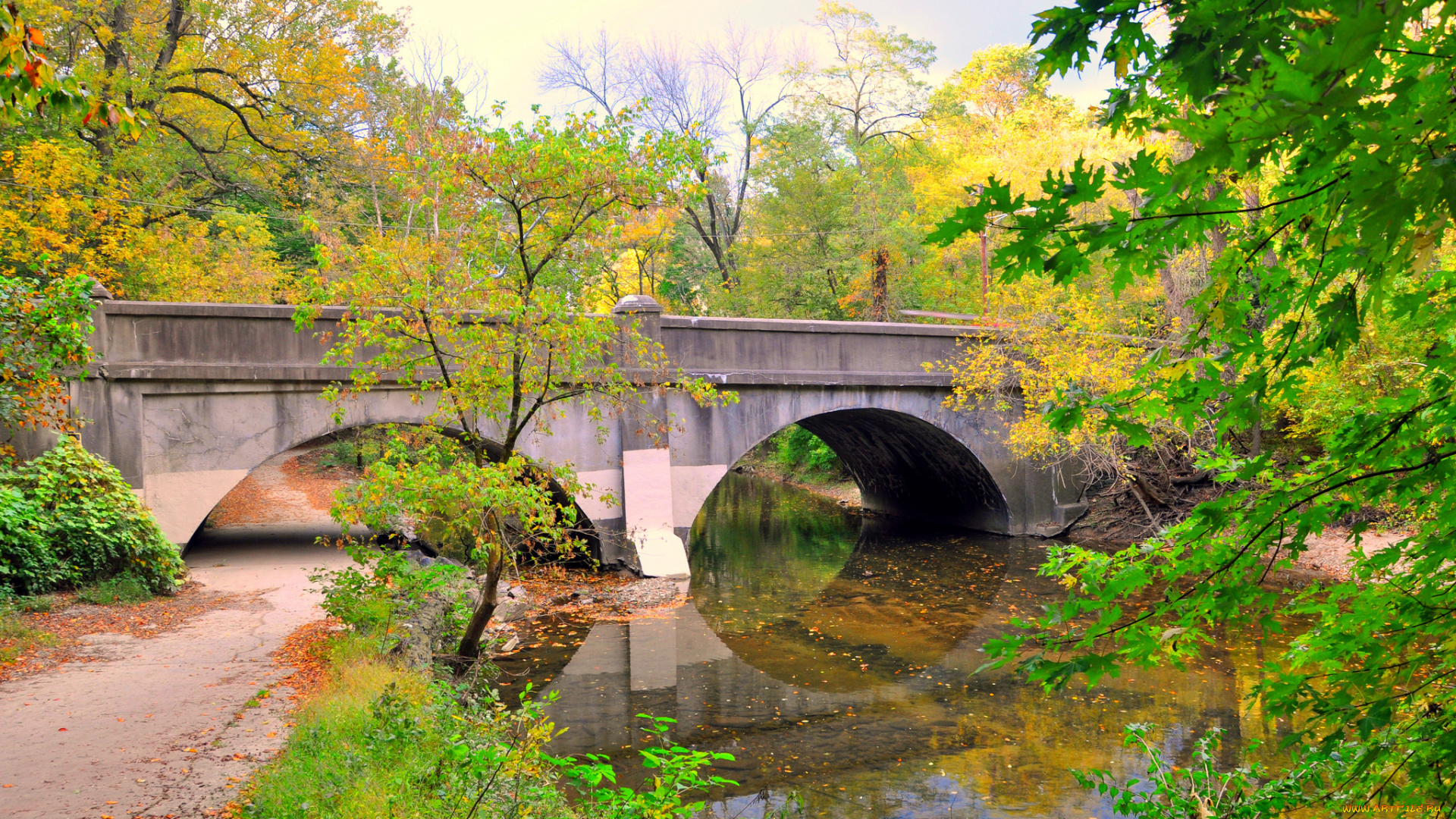 природа, парк, деревья, мост, река