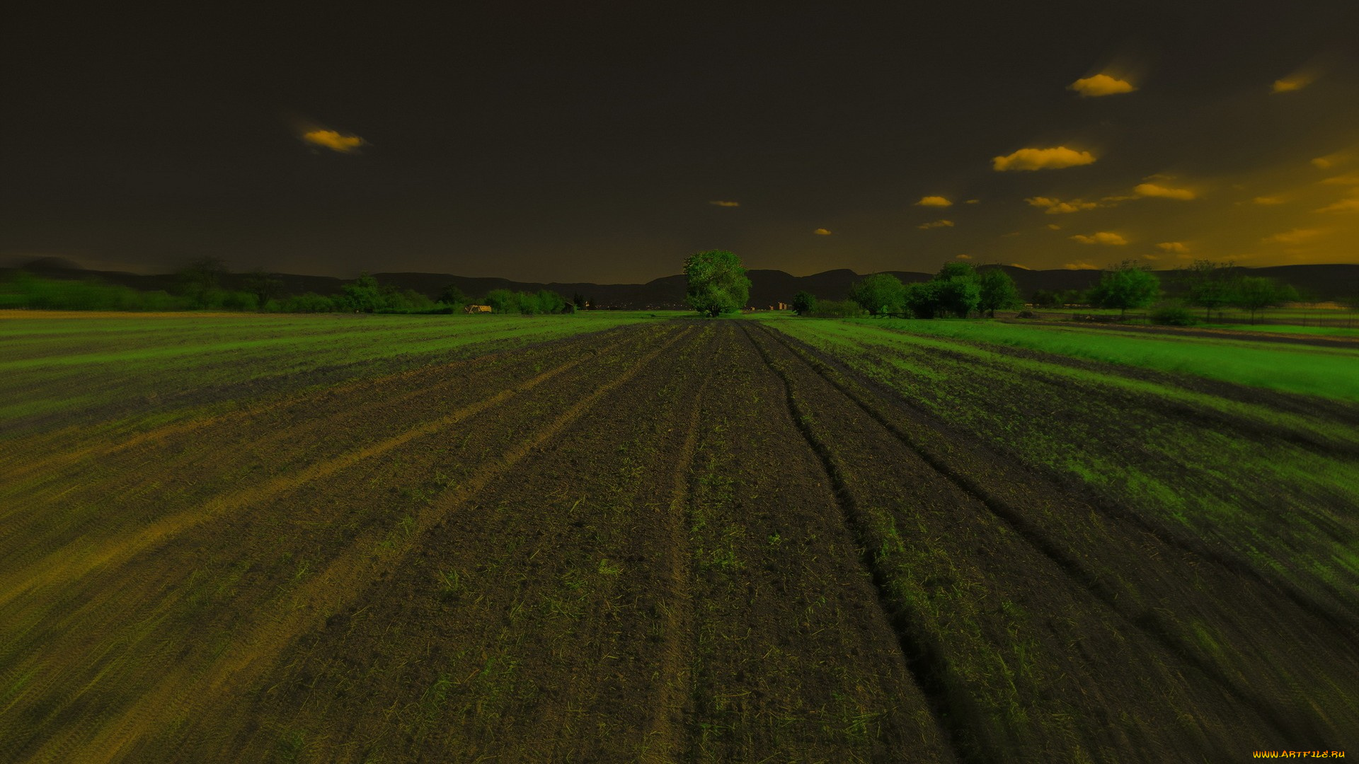 природа, поля, ночь