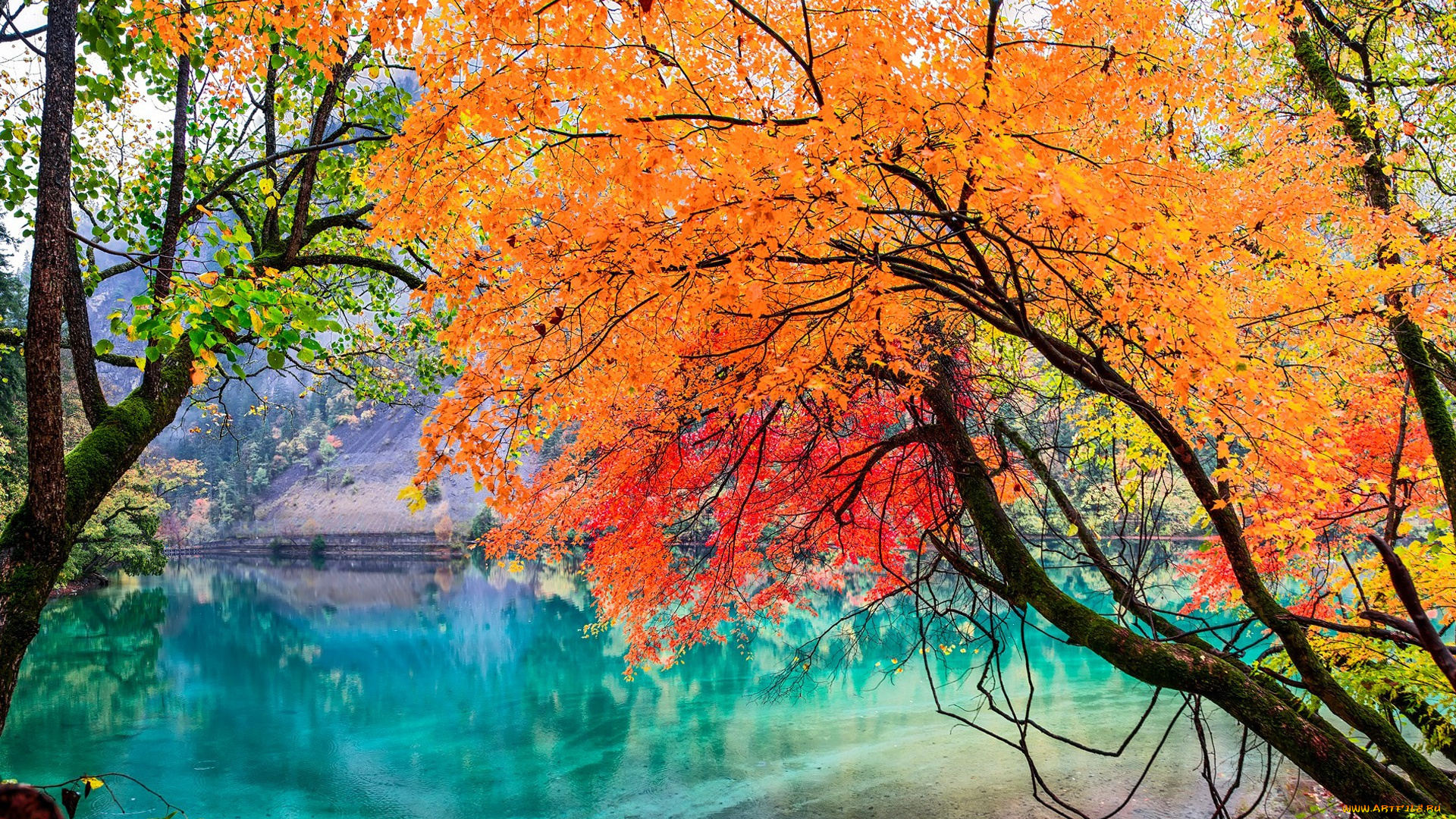 природа, реки, озера, китай, сычуань, национальный, парк, цзючжайгоу, осень, листья, деревья, озеро