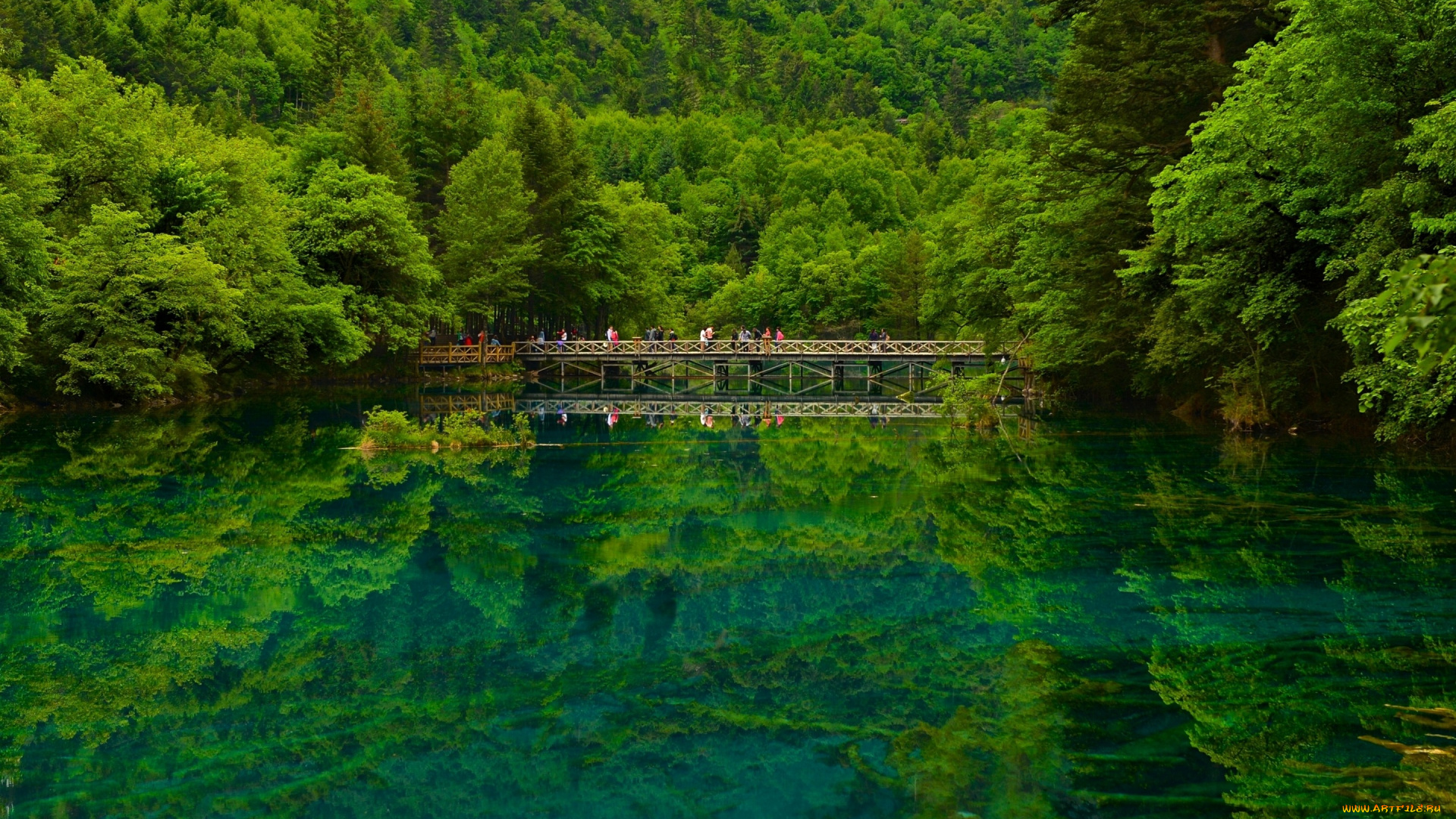 природа, реки, озера, отражение, лес, china, sichuan, мост, озеро, заповедник, китай, сычуань, цзючжайгоу, jiuzhaigou