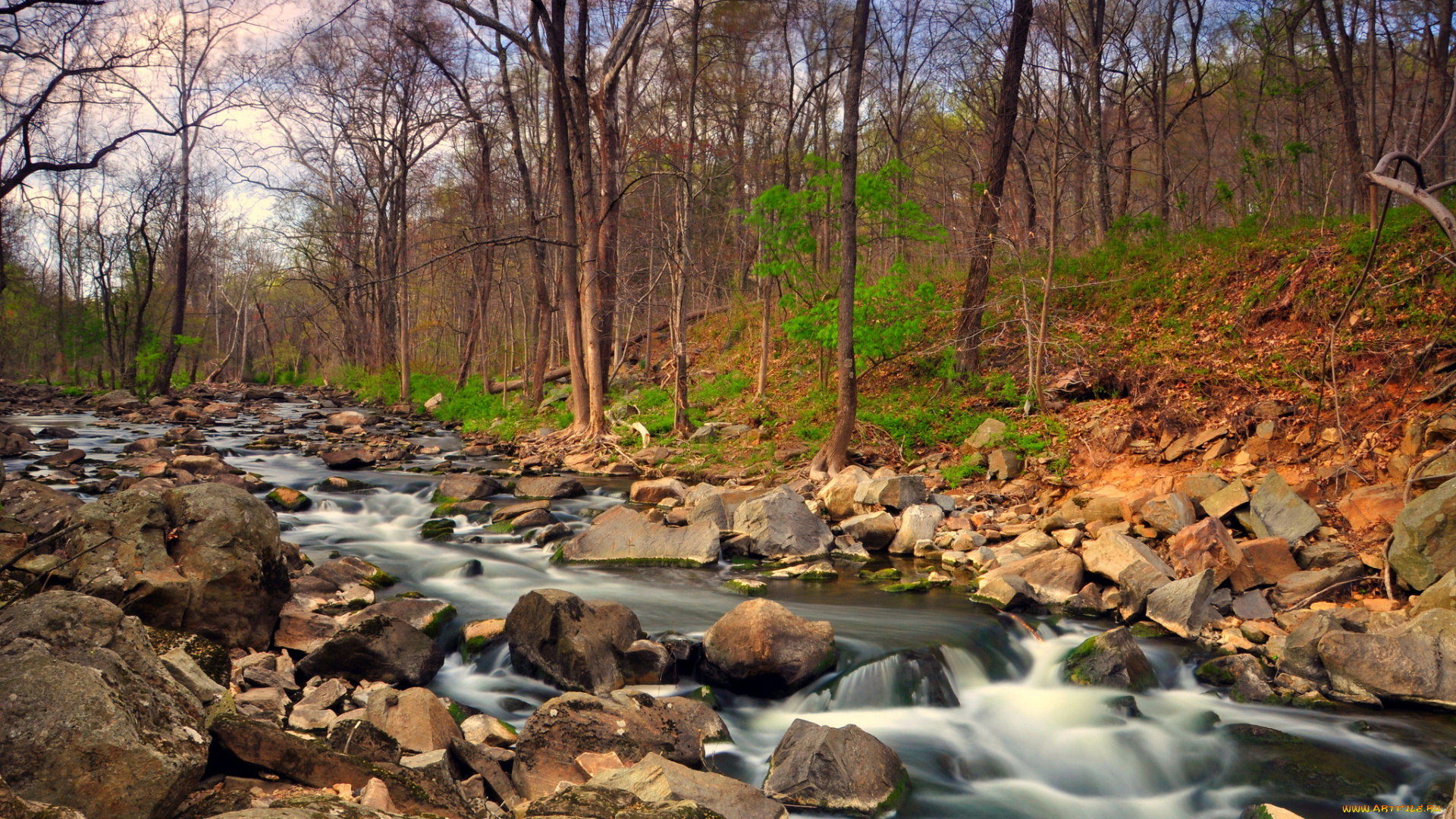 природа, реки, озера, поток, осень, лес, камни, ручей, река