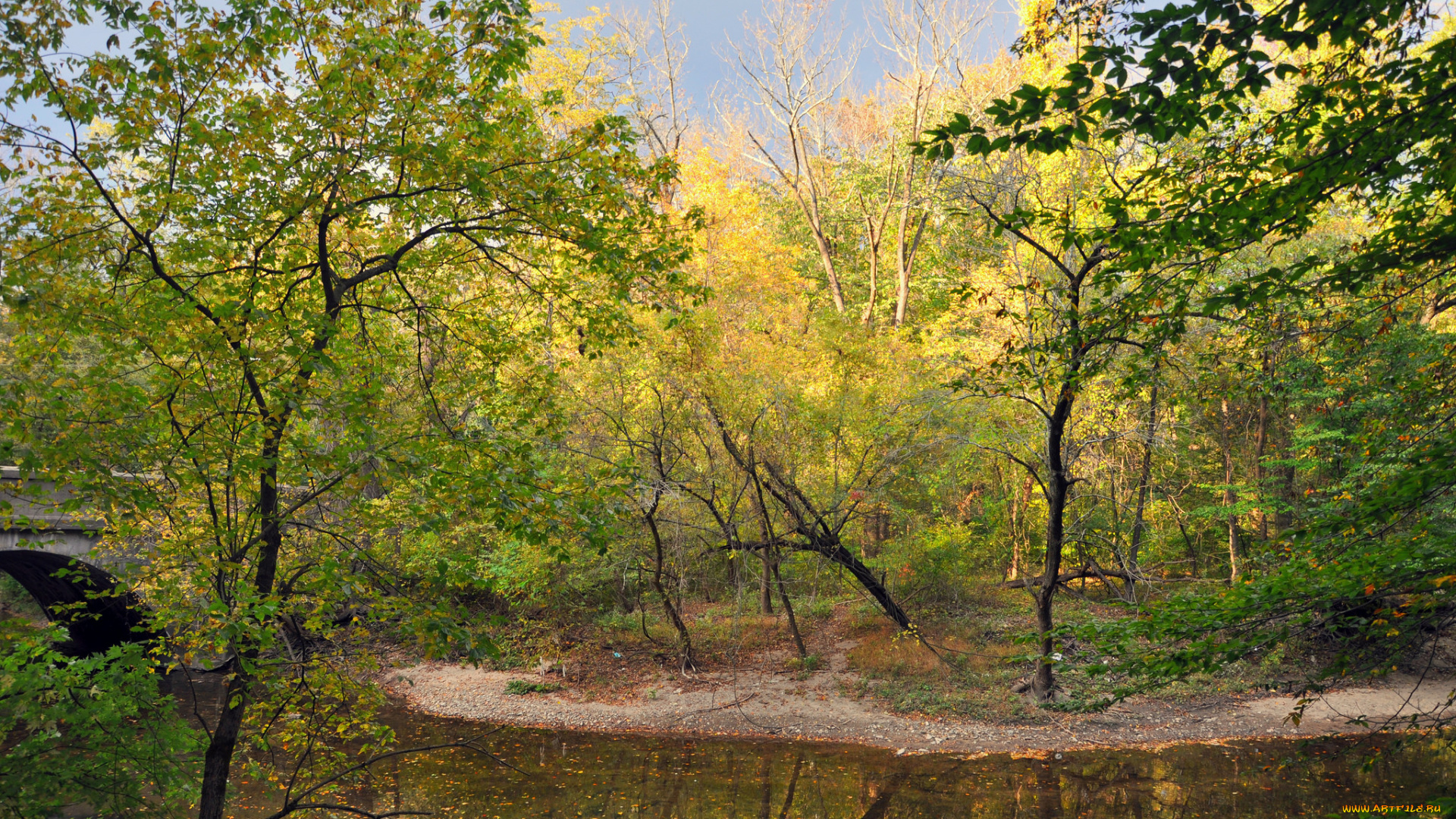 природа, реки, озера, река, деревья, осень, лес