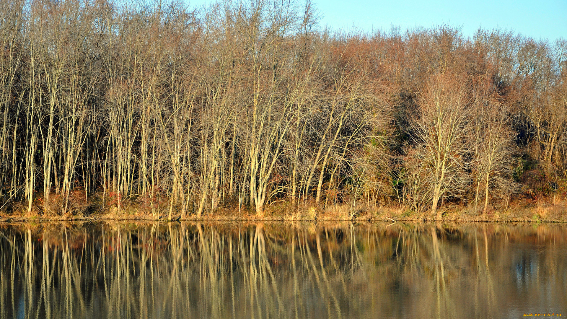 природа, реки, озера, река, небо, отражение, деревья