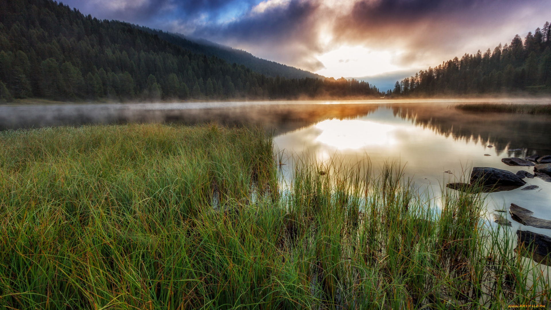 природа, реки, озера, туман, река, лес, горы