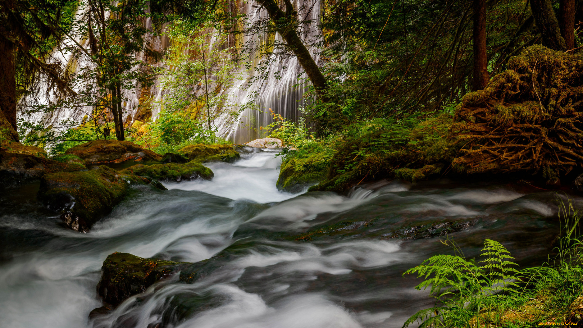 природа, водопады, водопад, река, лес