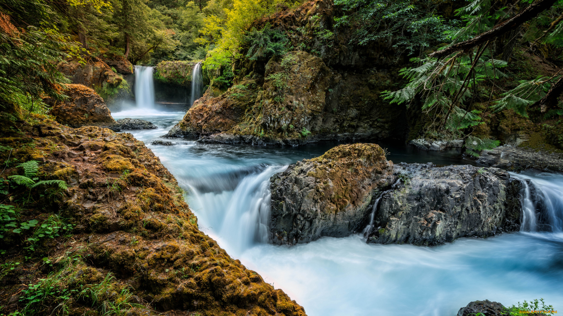природа, водопады, водопад, река, лес