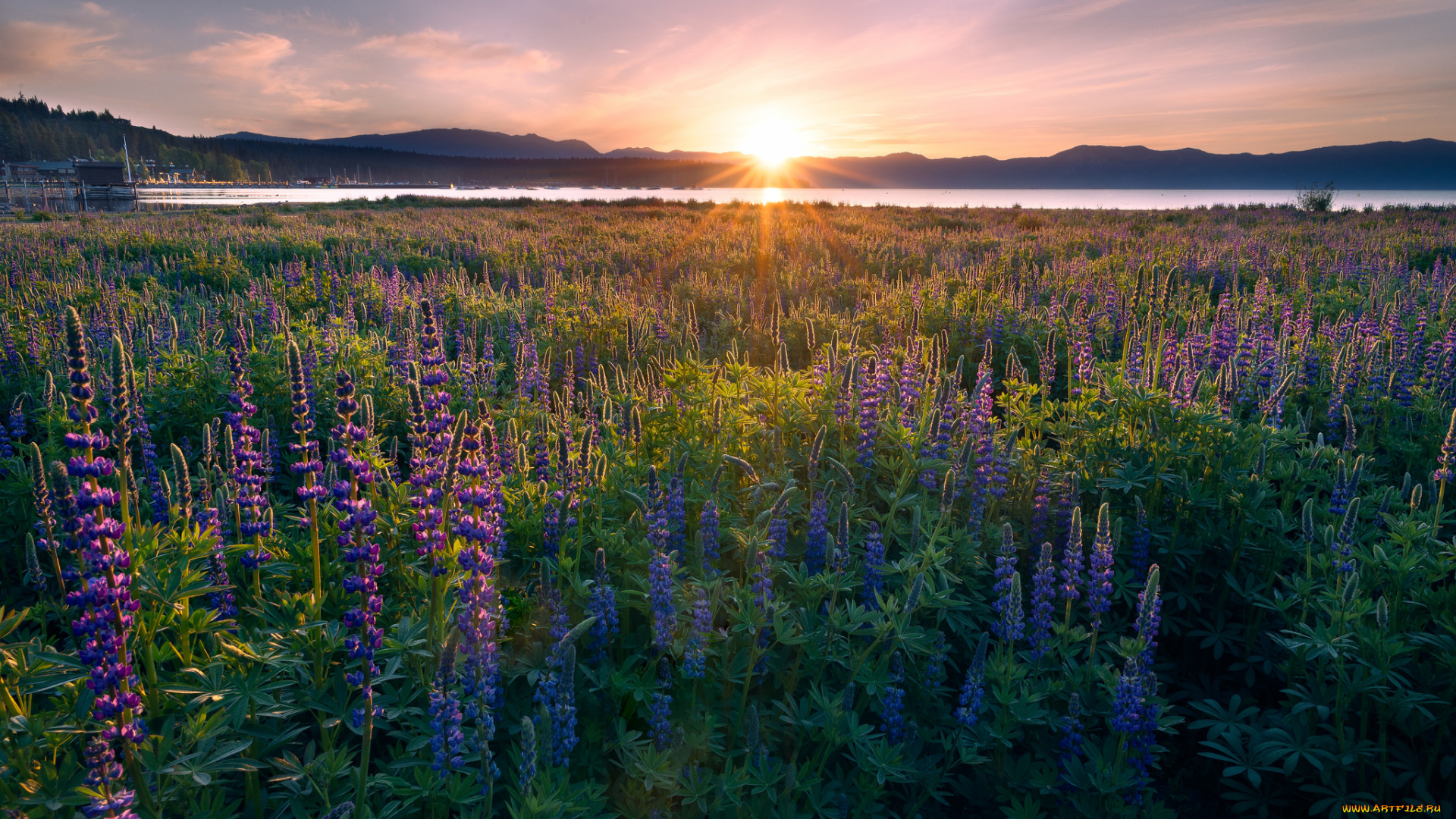 природа, восходы, закаты, рассвет