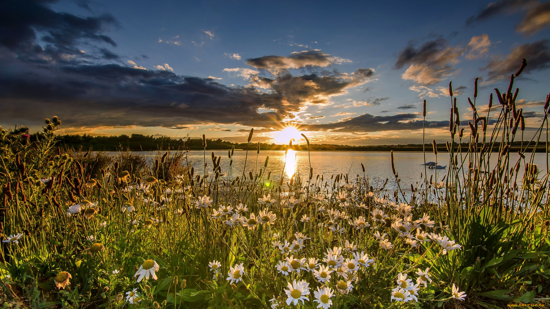 природа, восходы, закаты, рассвет