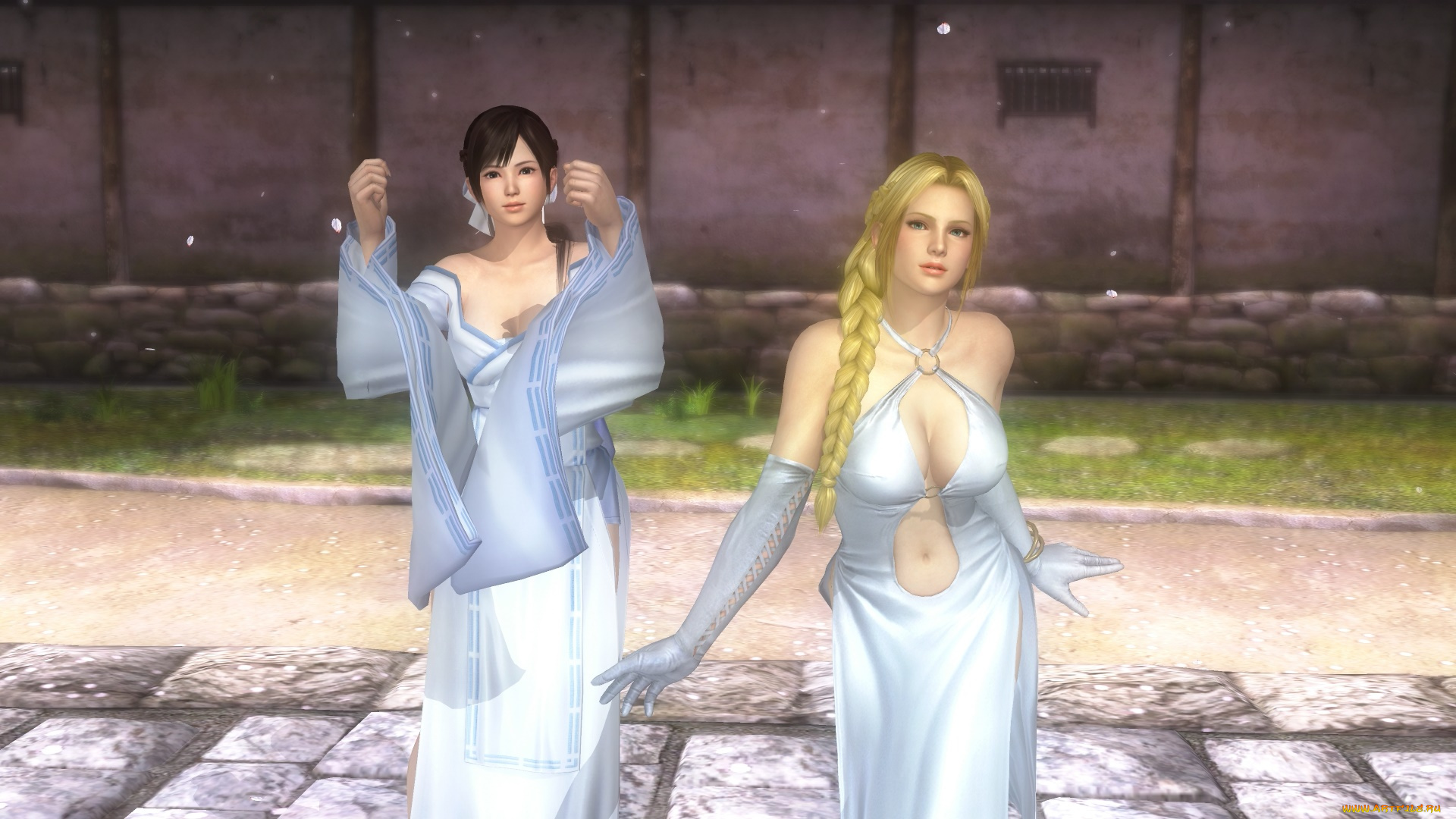 видео, игры, dead, or, alive, 5, фон, девушки, взгляд, kokoro