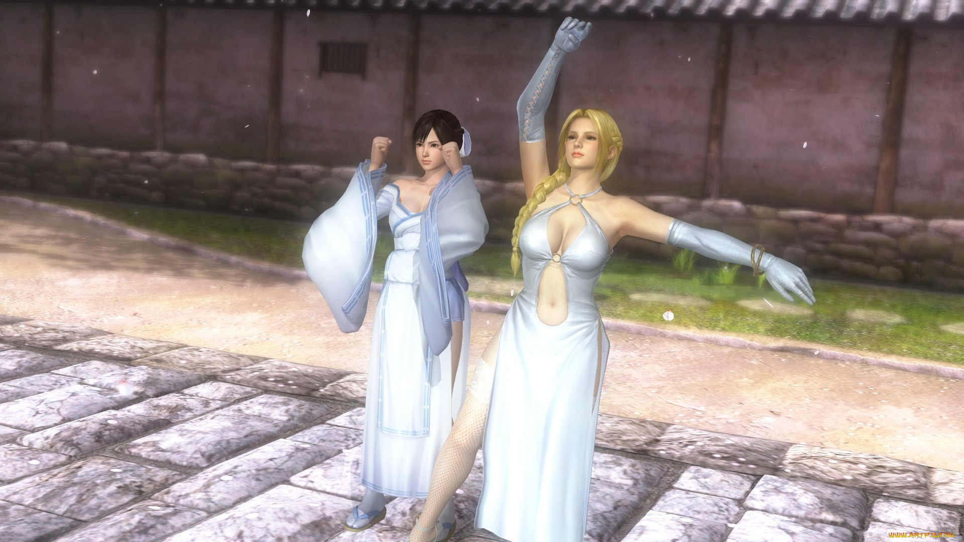 видео, игры, dead, or, alive, 5, kokoro, фон, взгляд, девушки