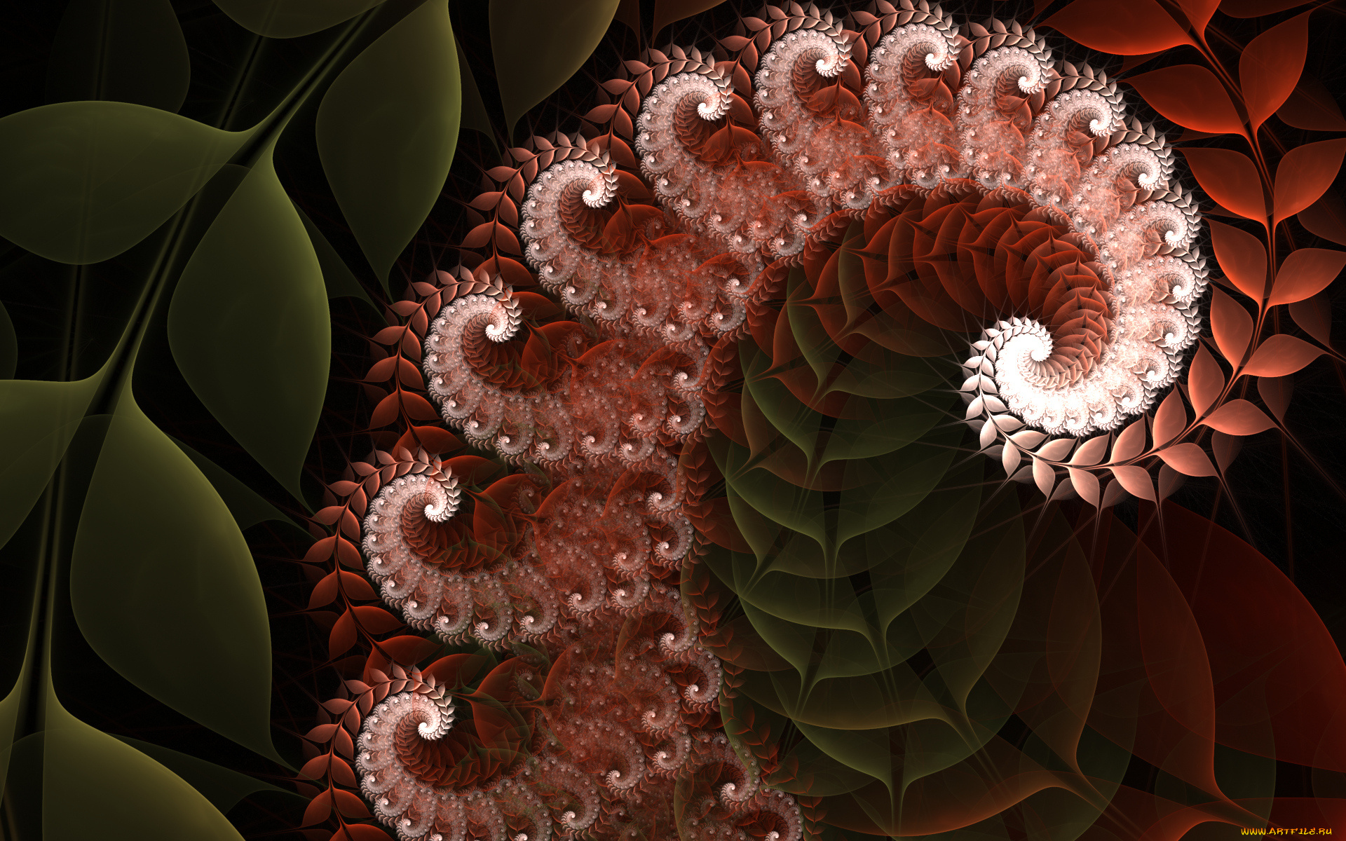 3д, графика, фракталы, , fractal, узор, фон, цвета