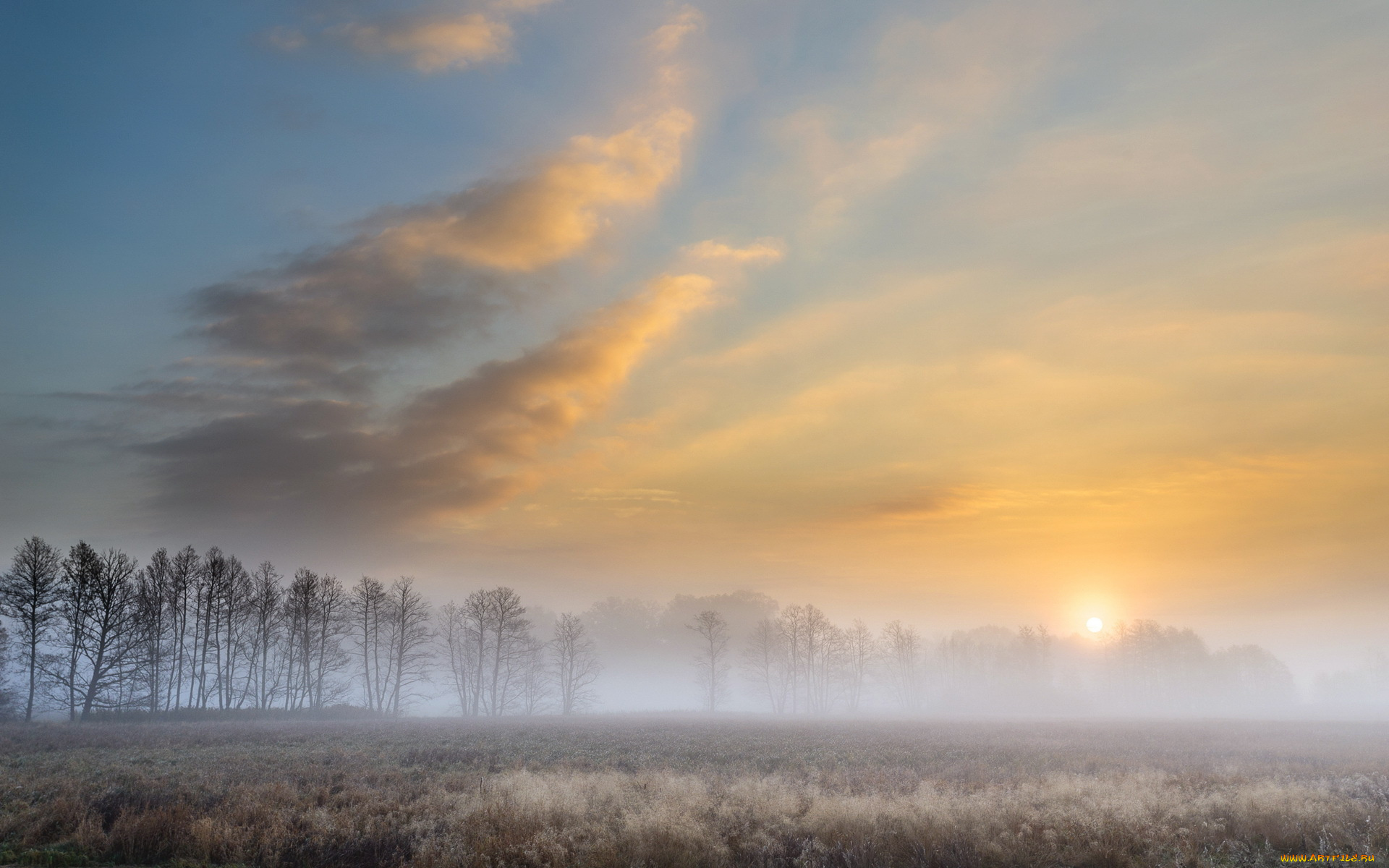 природа, восходы, закаты, autumn, foggy, morning
