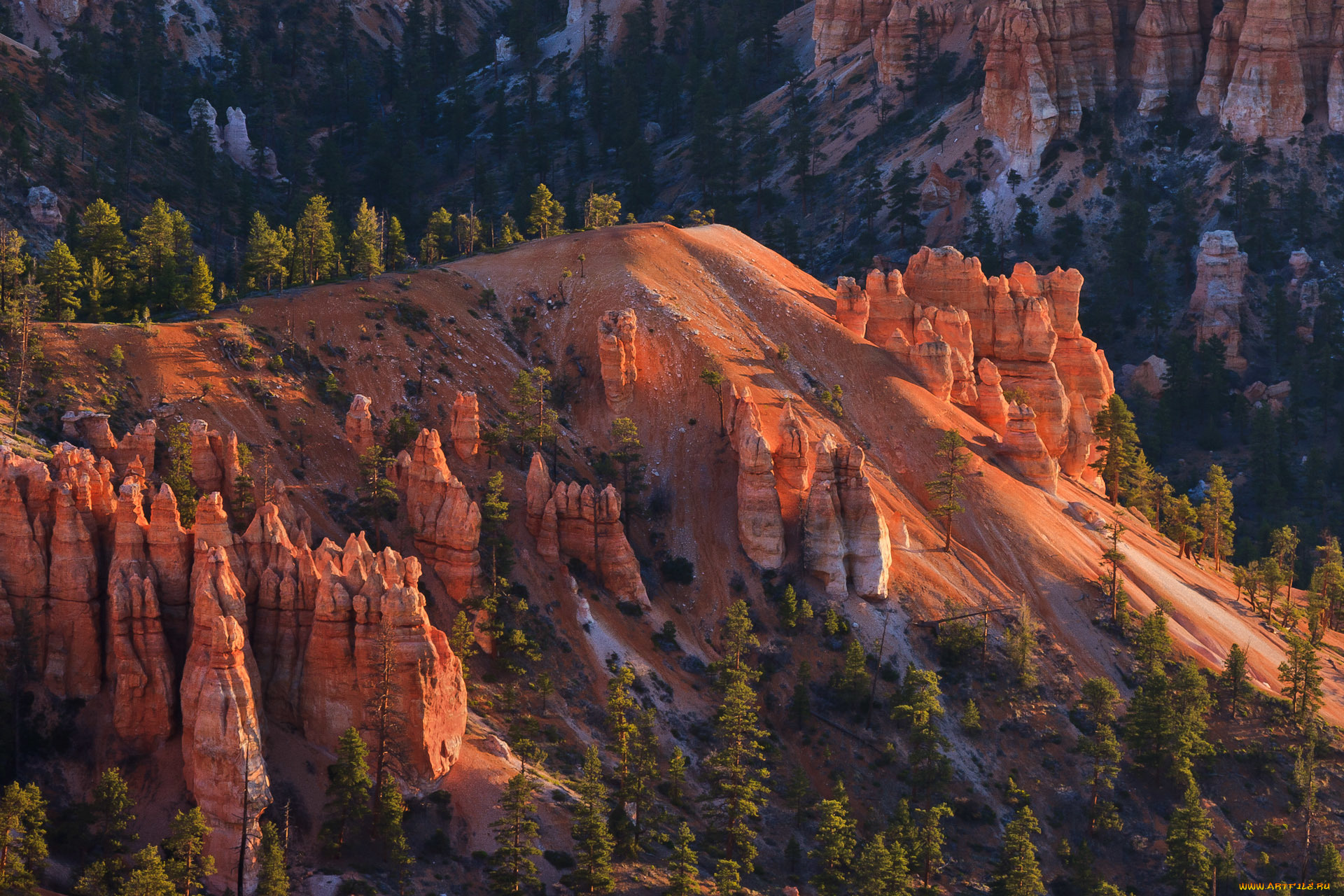 природа, горы, сша, юта, bryce, canyon, national, park, скалы, деревья, склон