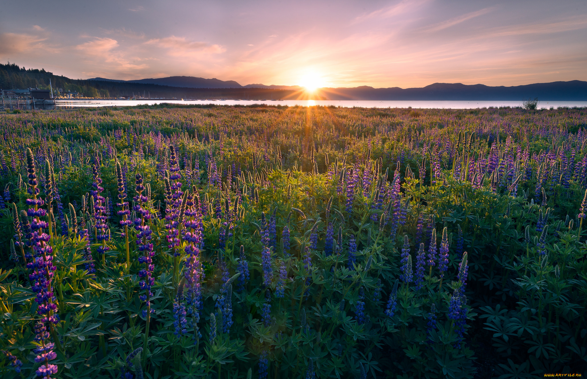 природа, восходы, закаты, рассвет
