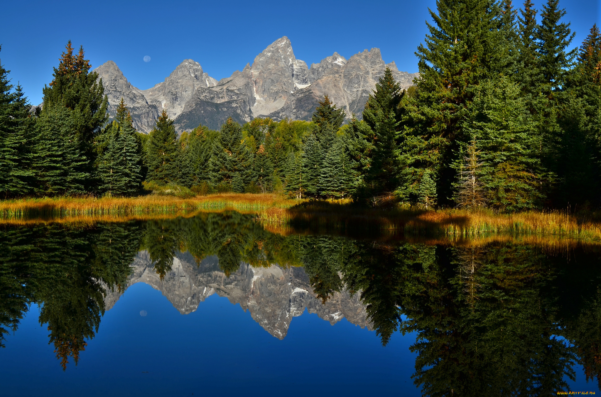 природа, реки, озера, река, лес, горы