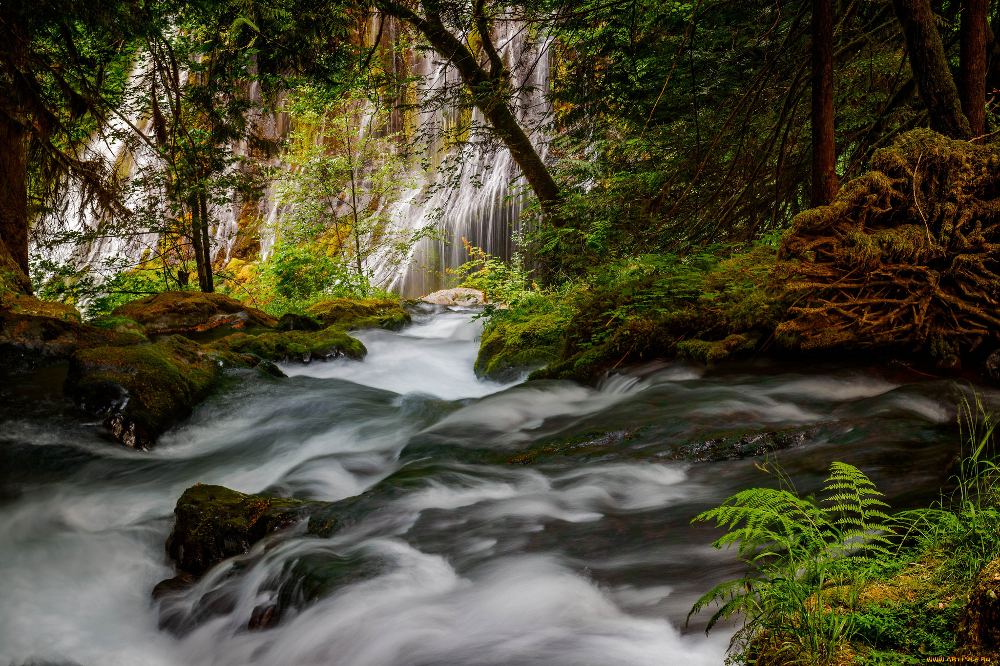 природа, водопады, водопад, река, лес