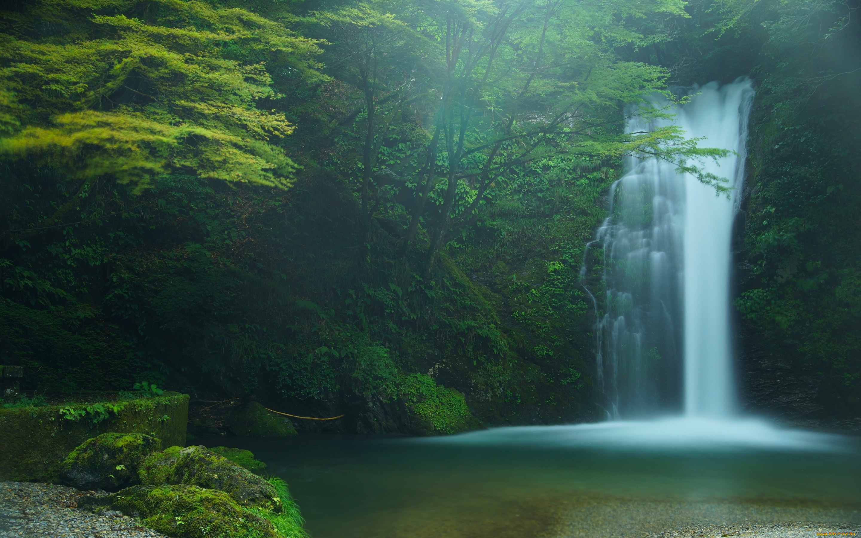 природа, водопады, japan, водопад, шираито, fujinomiya, shiraito, falls, деревья, лес, Япония, фудзиномия