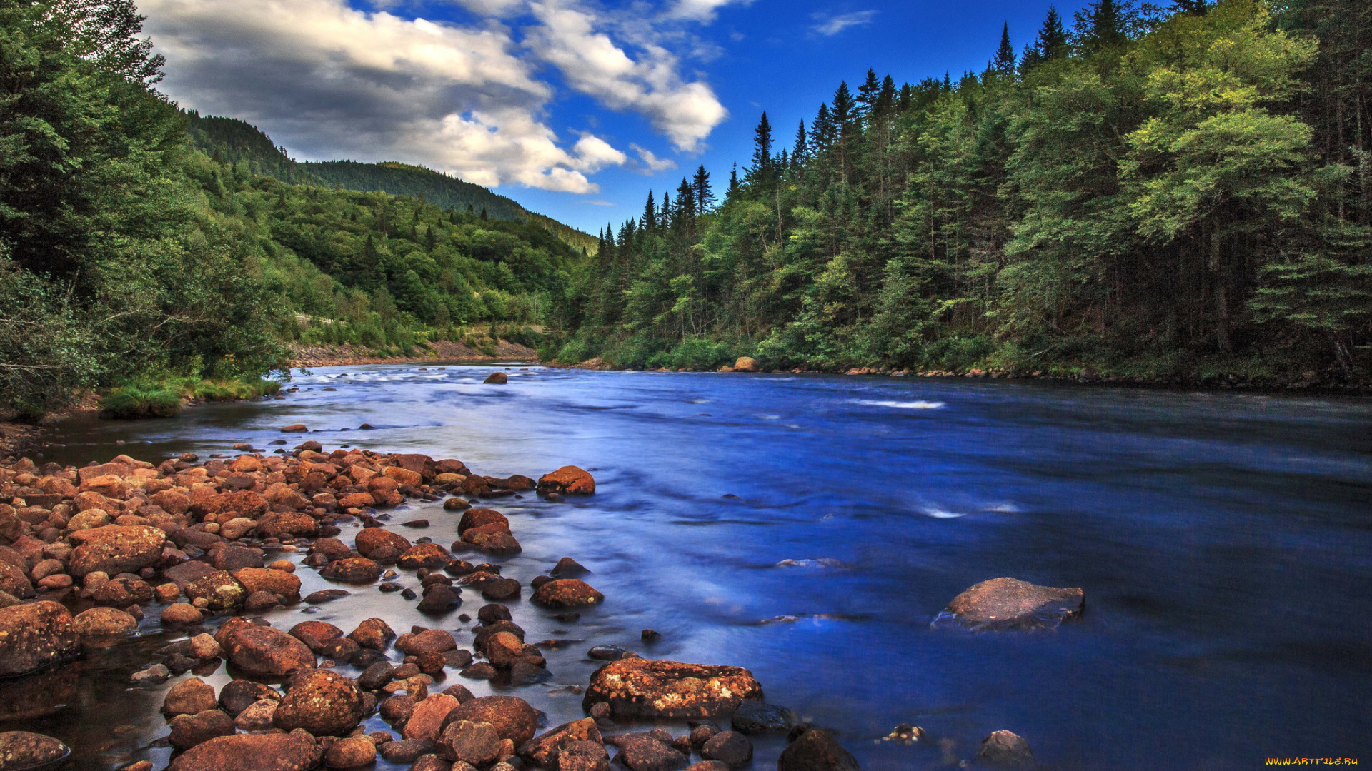 природа, реки, озера, лес, река