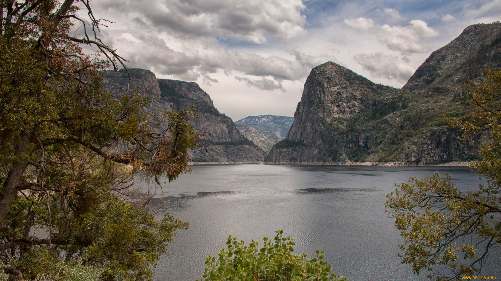 природа, реки, озера, река, лес