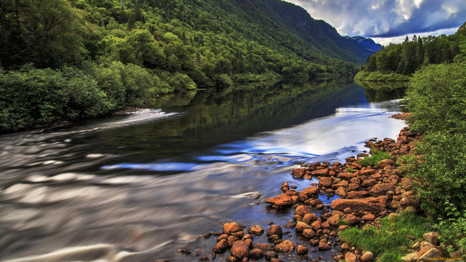 природа, реки, озера, река, лес