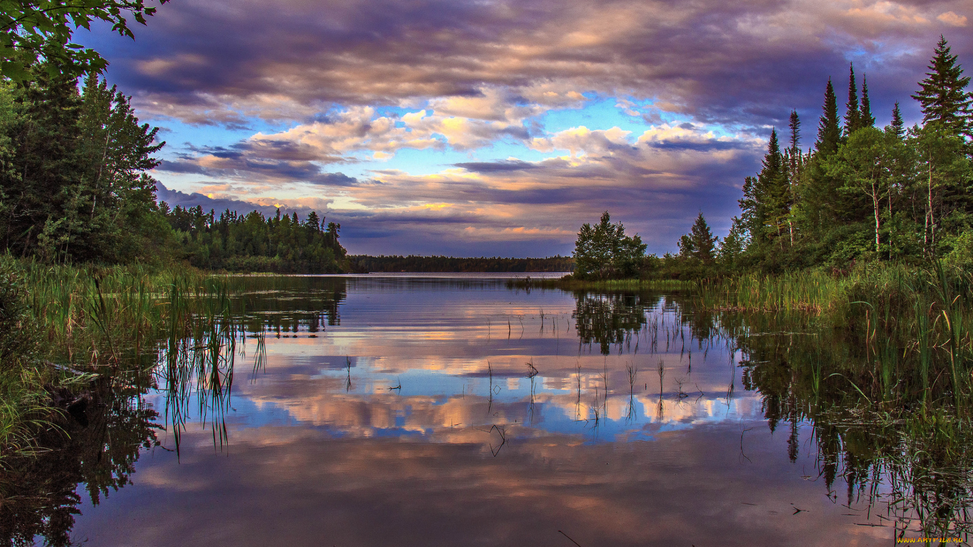 природа, реки, озера, река, лес