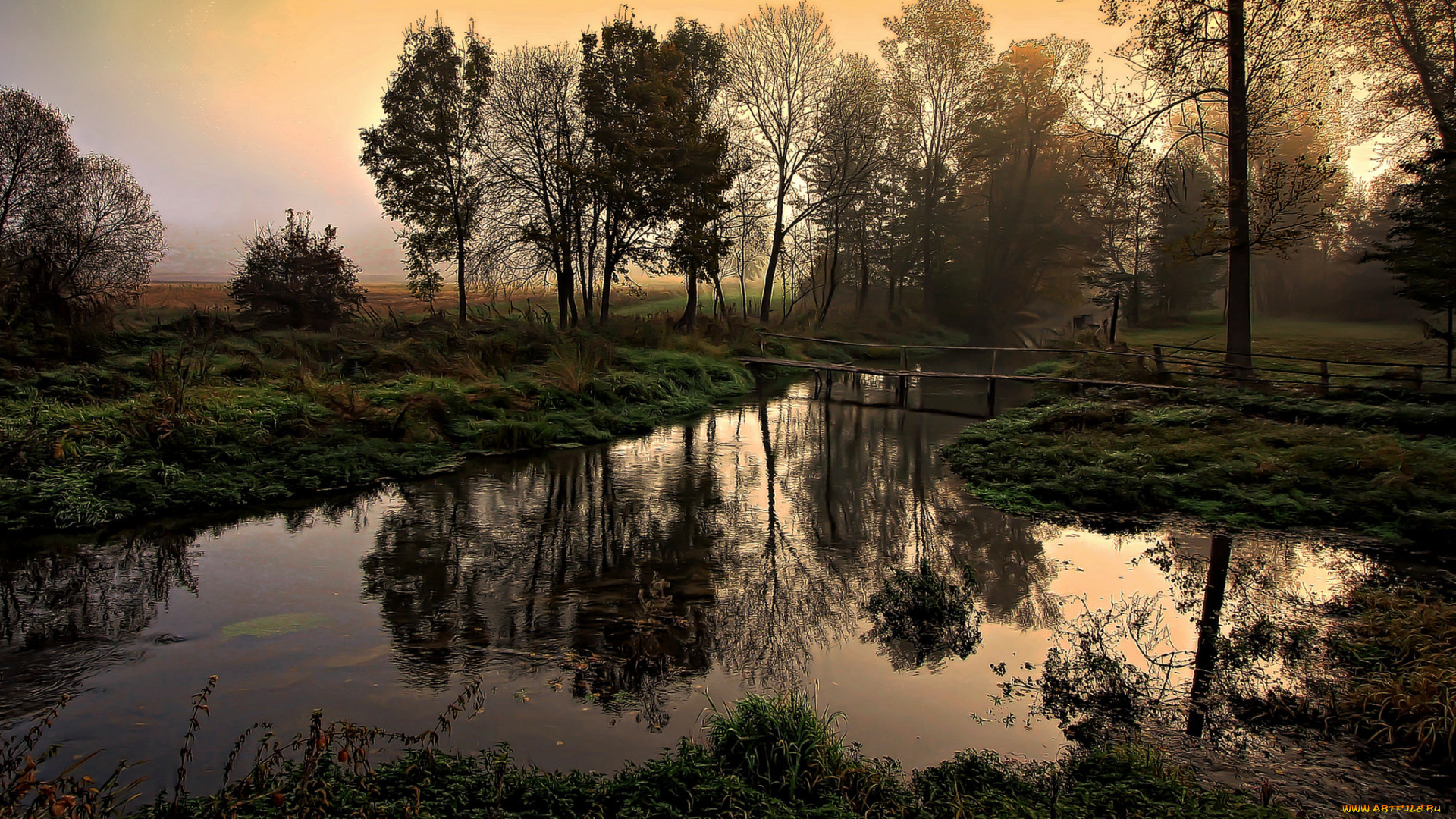 природа, реки, озера, река, лес